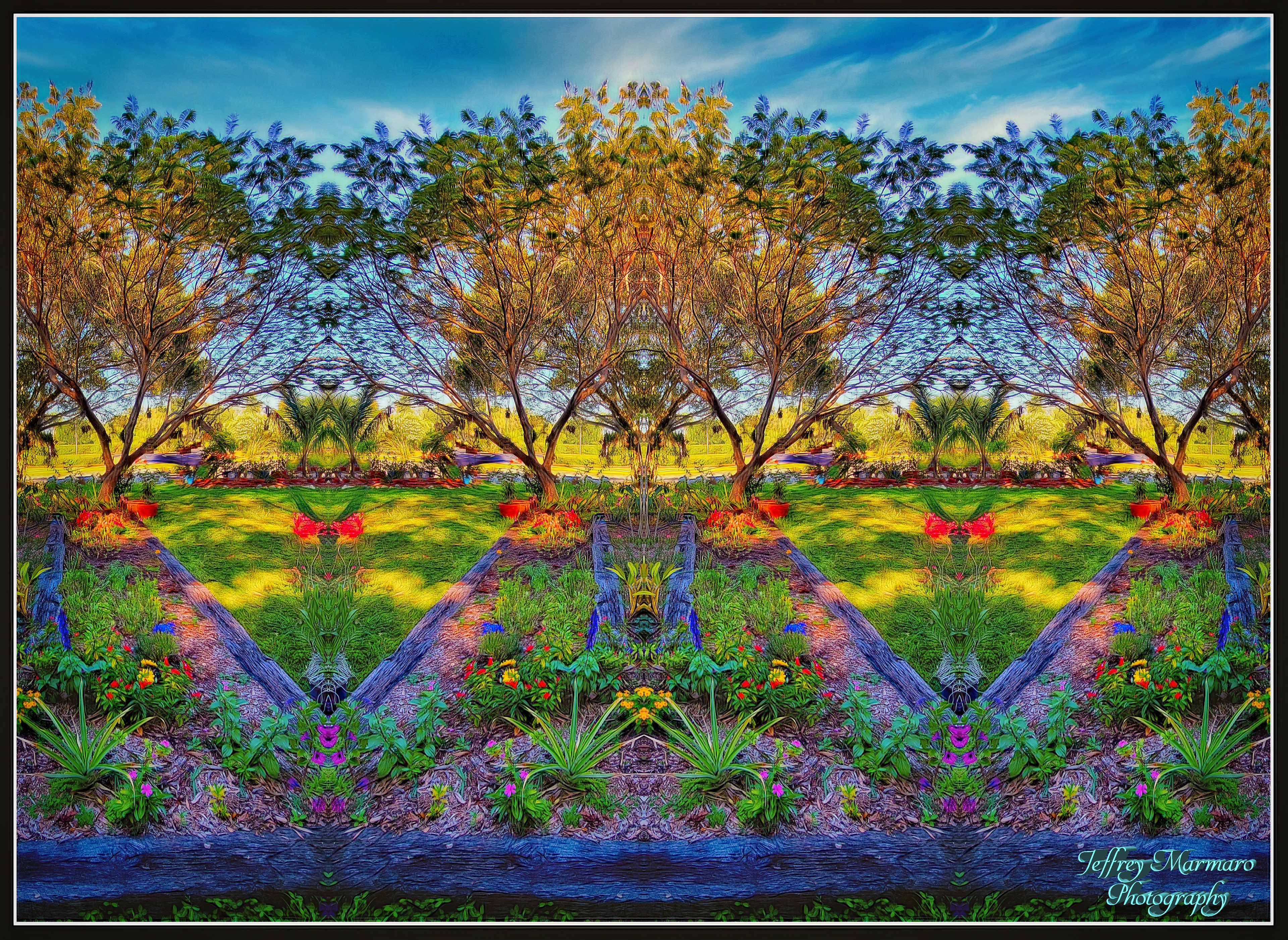Sharply Colored Garden