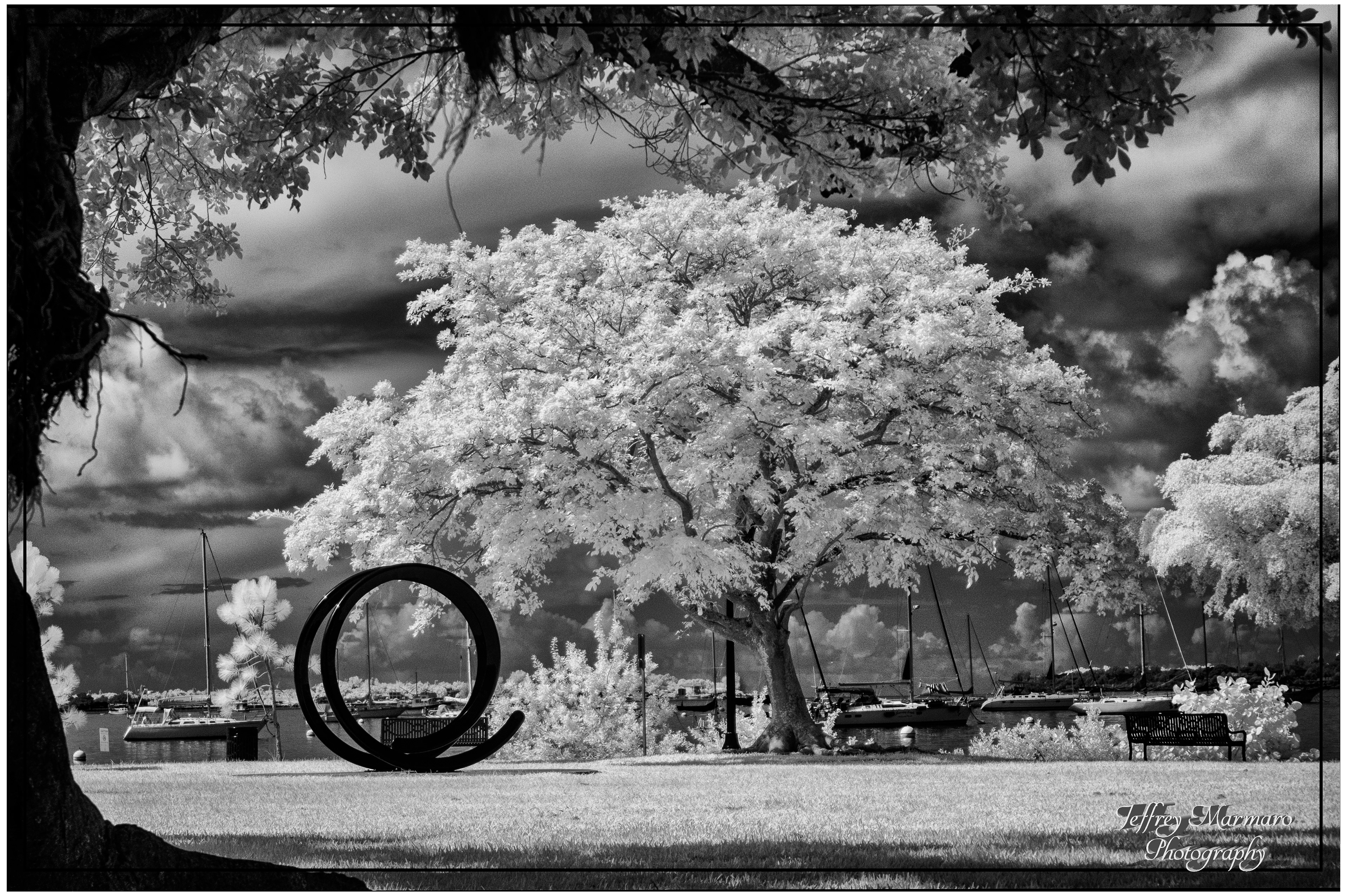 Bayfront Park Expressionist