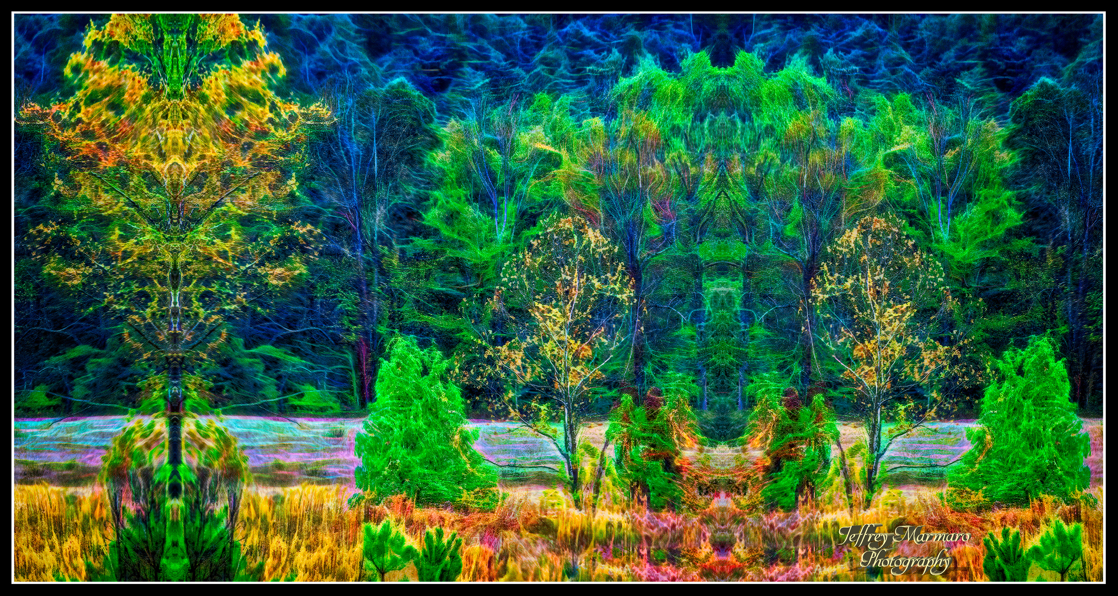 Expressionist Garden
