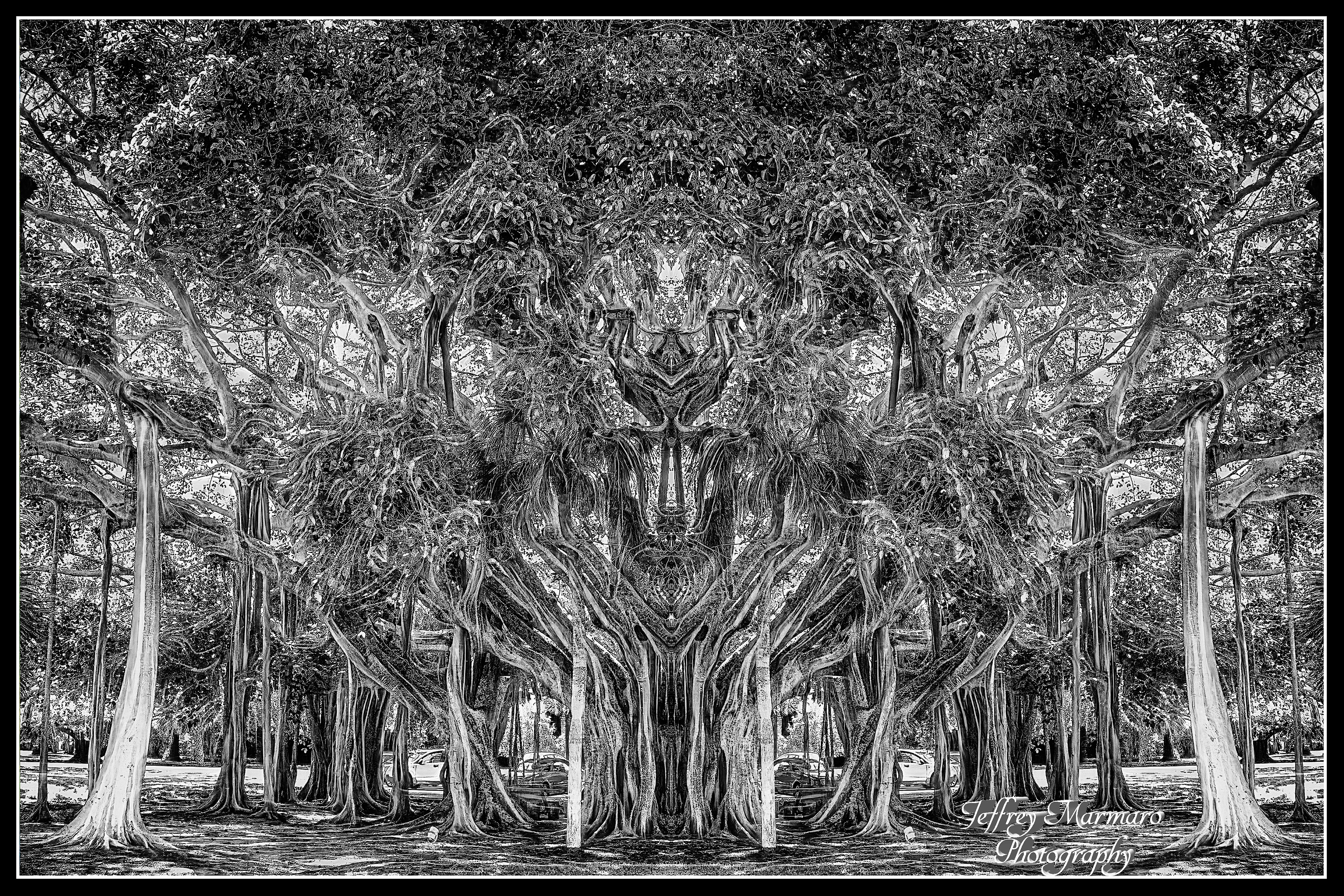 One Sunday Afternoon on Venus Monochrome