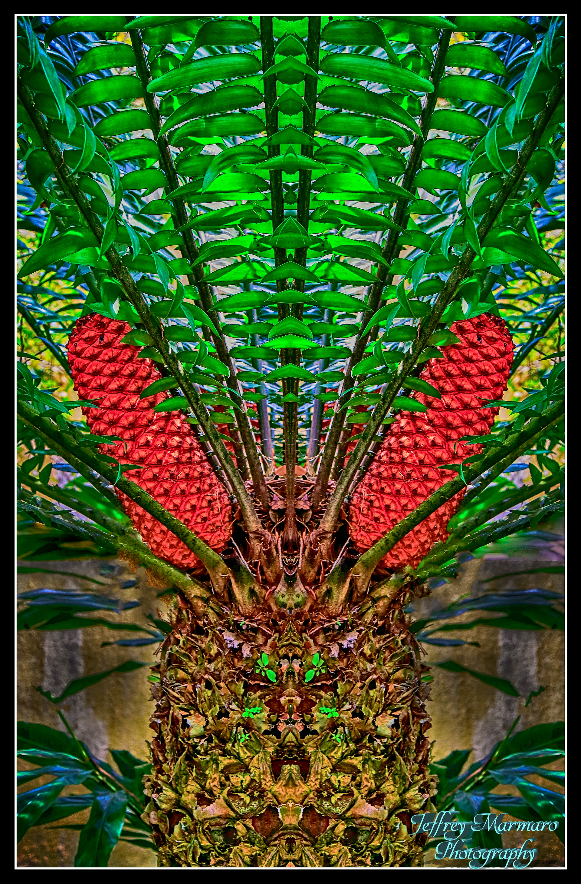 Primordial Cycad