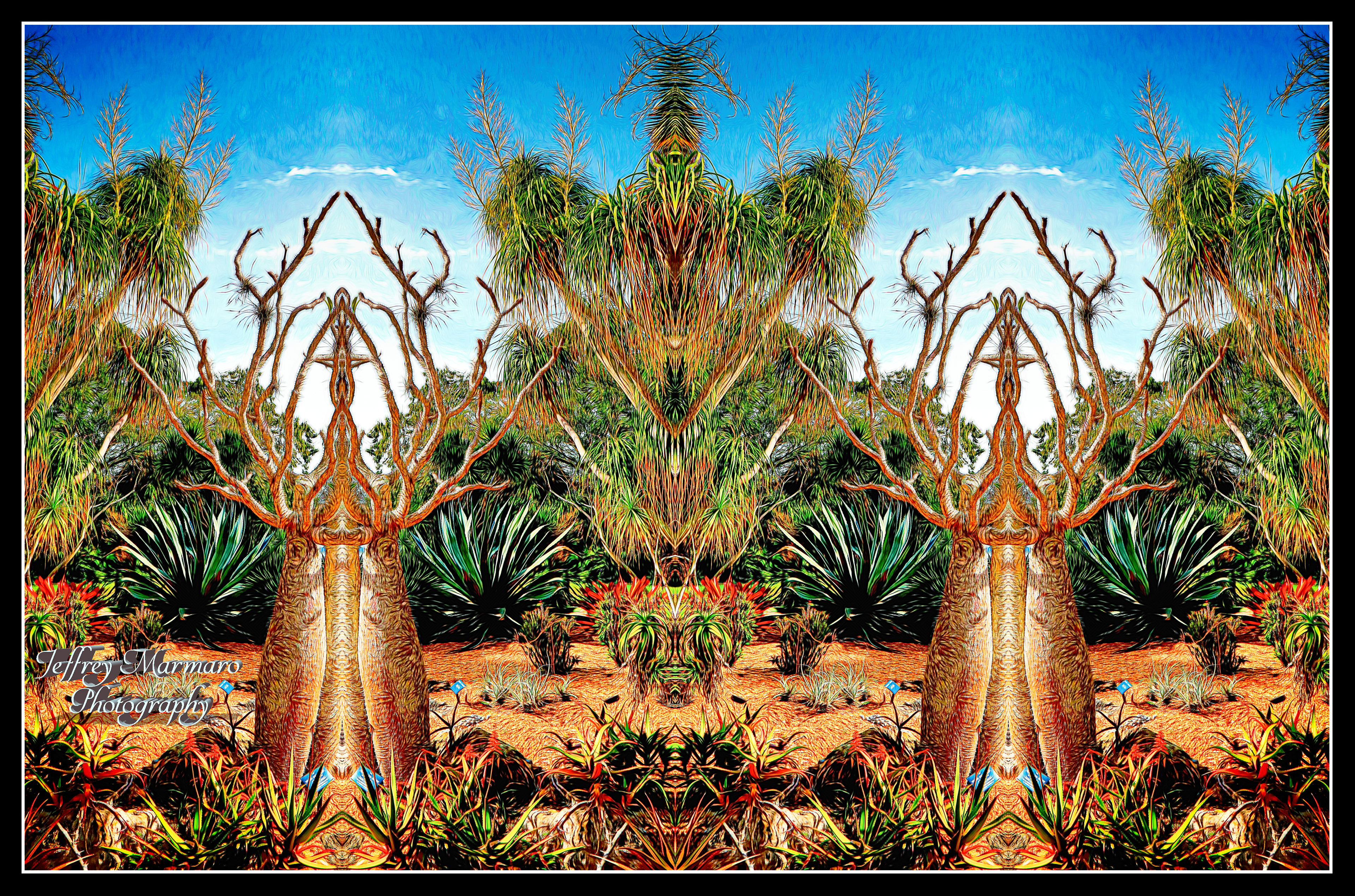 Seriously Spiny Succulent Sentinals