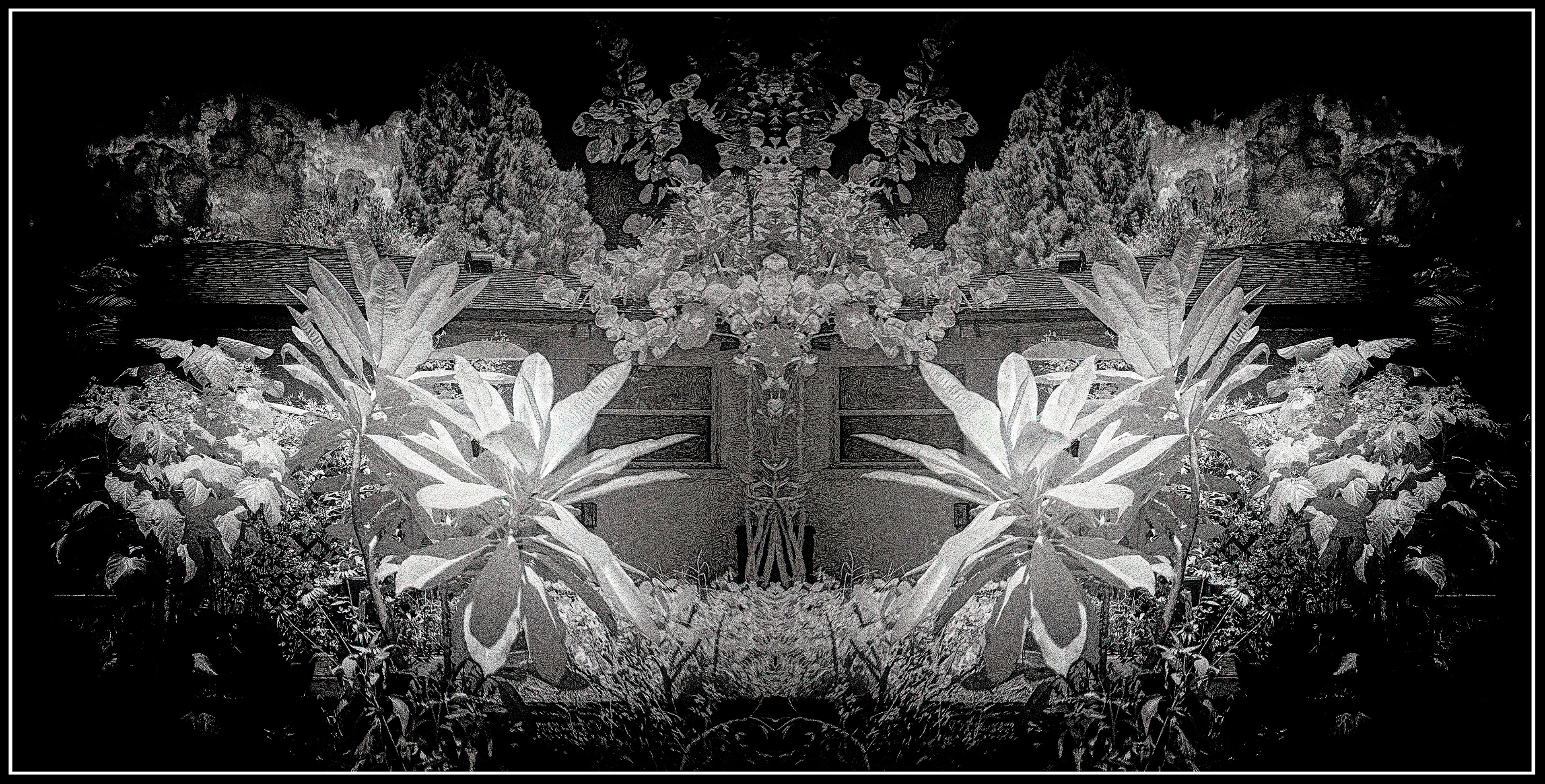 Embroideries of the Imagination