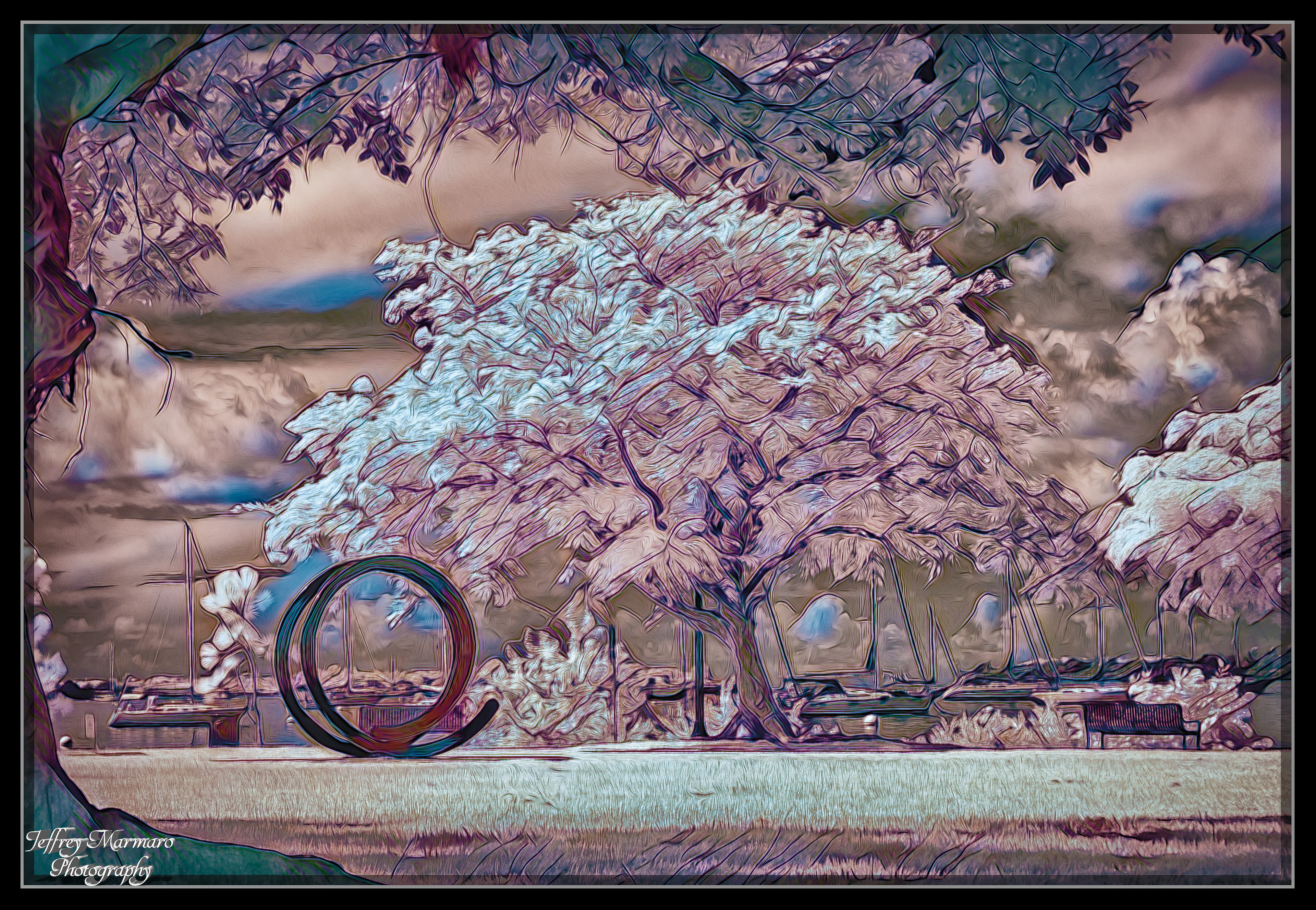 Bayfront Park Infrared False Color