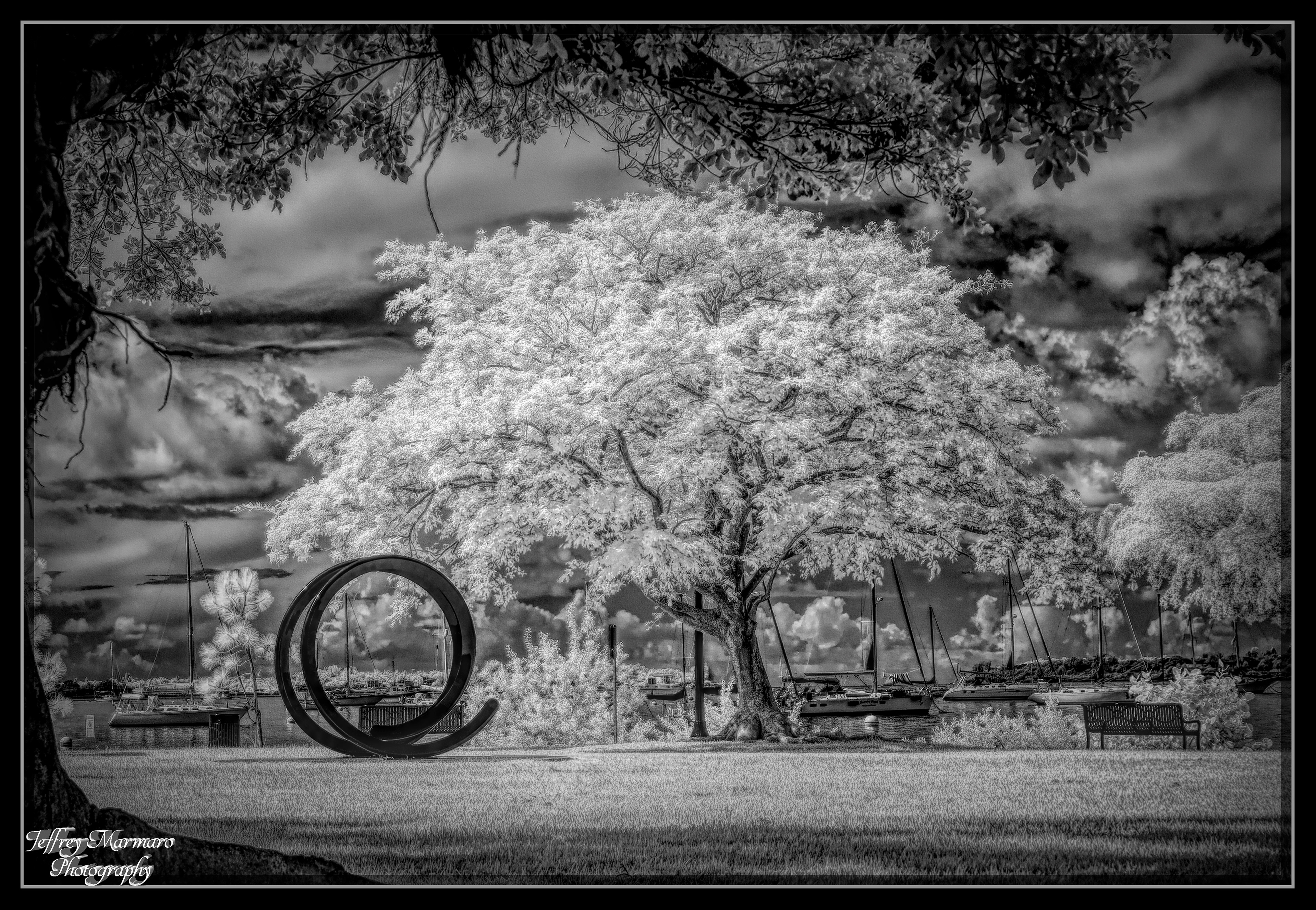 Bayfront Park Infrared Monochrome