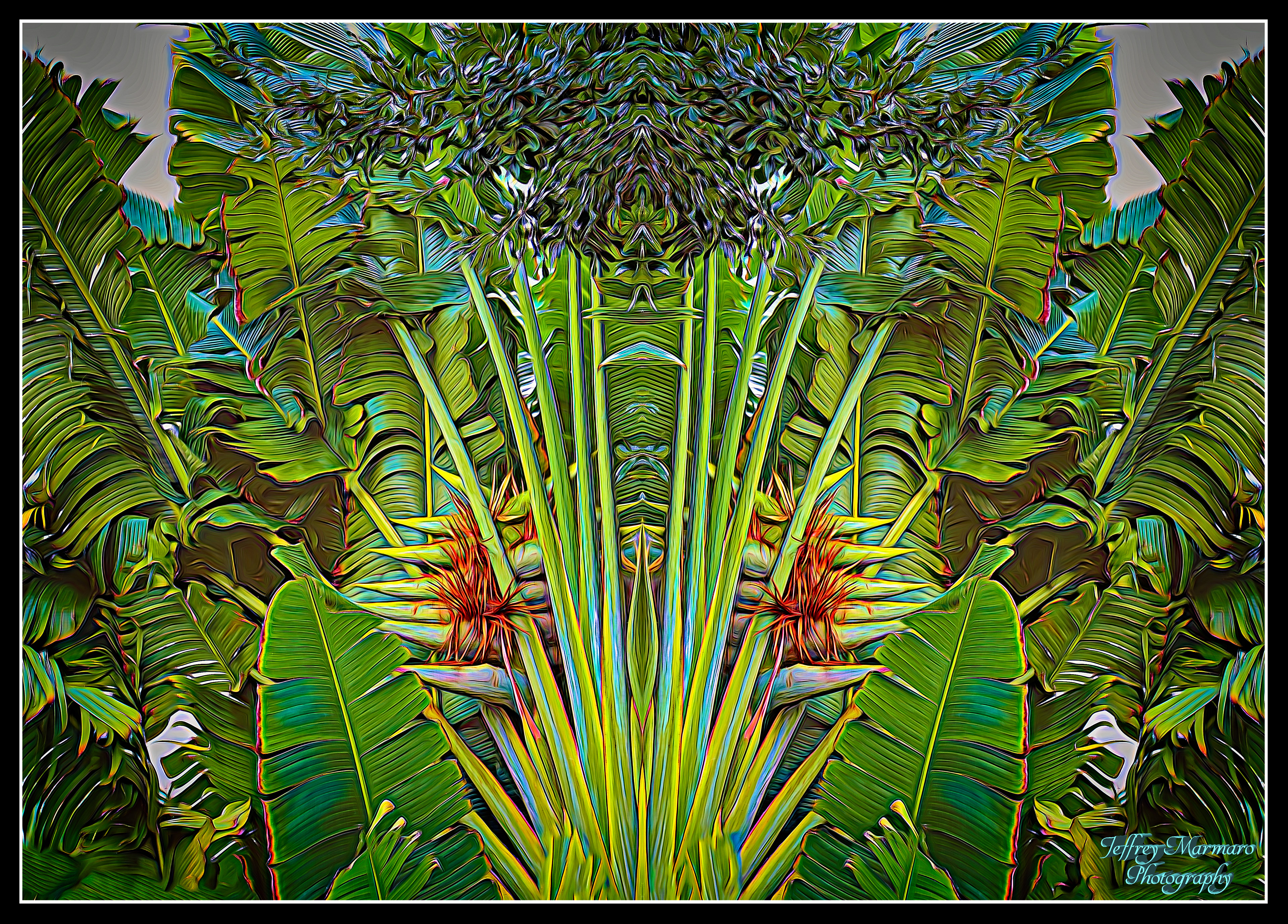 Artistic Arrangement of Palms