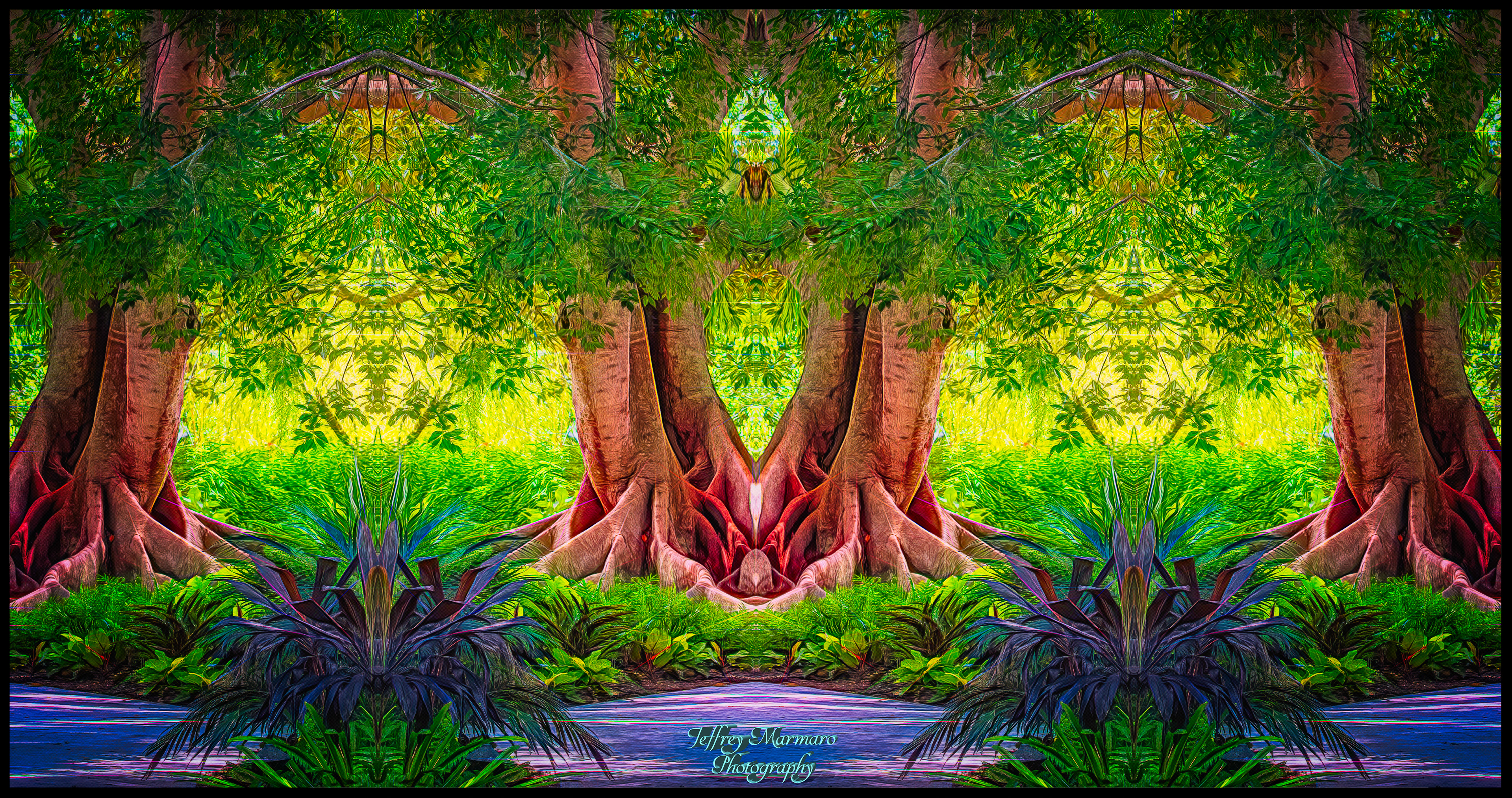 Heart of Banyan Country