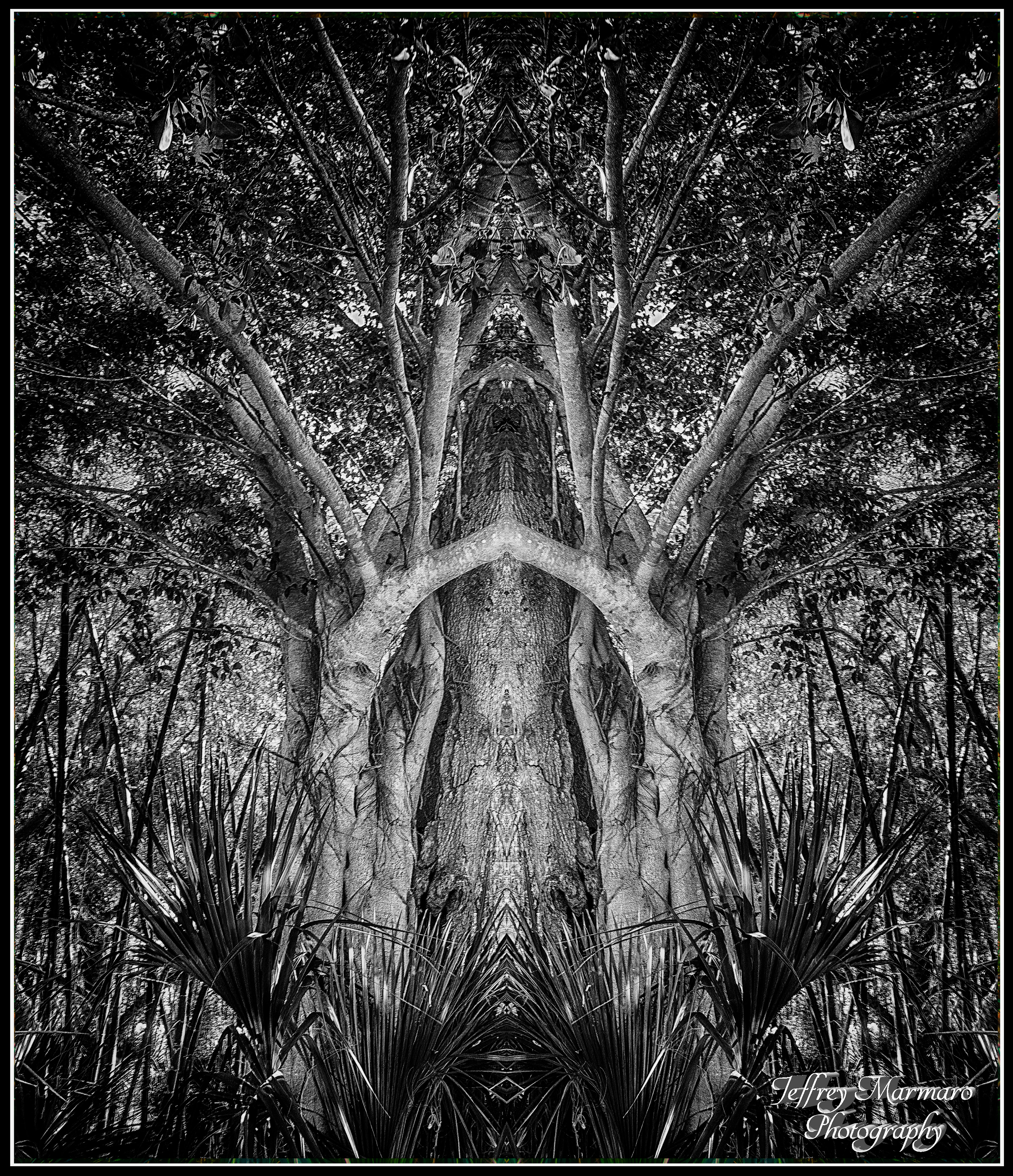 Darth Tree -mono