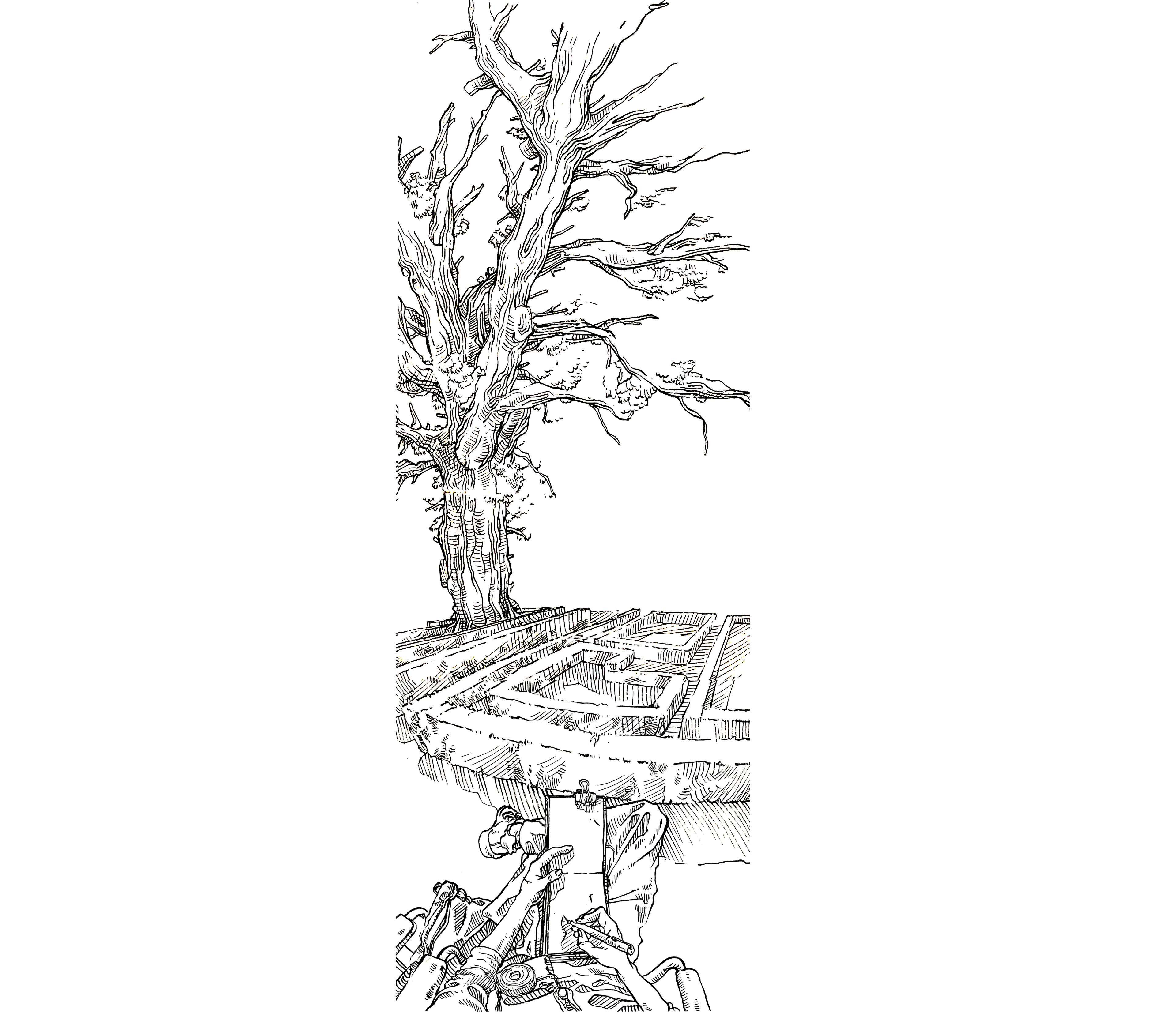 Parc du Rijksmuseum, Amsterdam  Projet personnel,  Aquarelle et encre de Chine,  2025