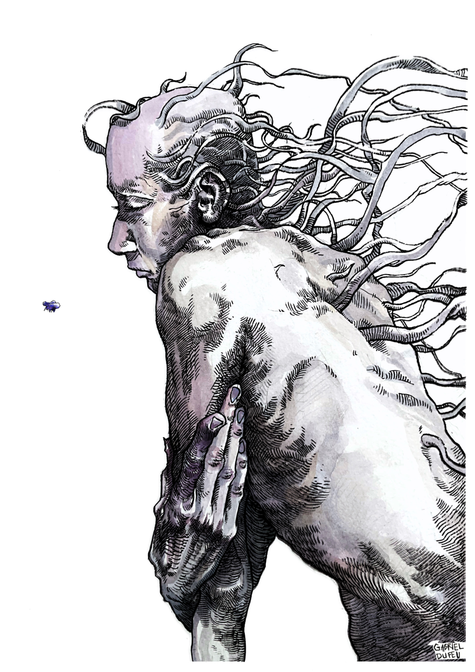 La Mouche  Projet personnel,  Encre de Chine,  2024