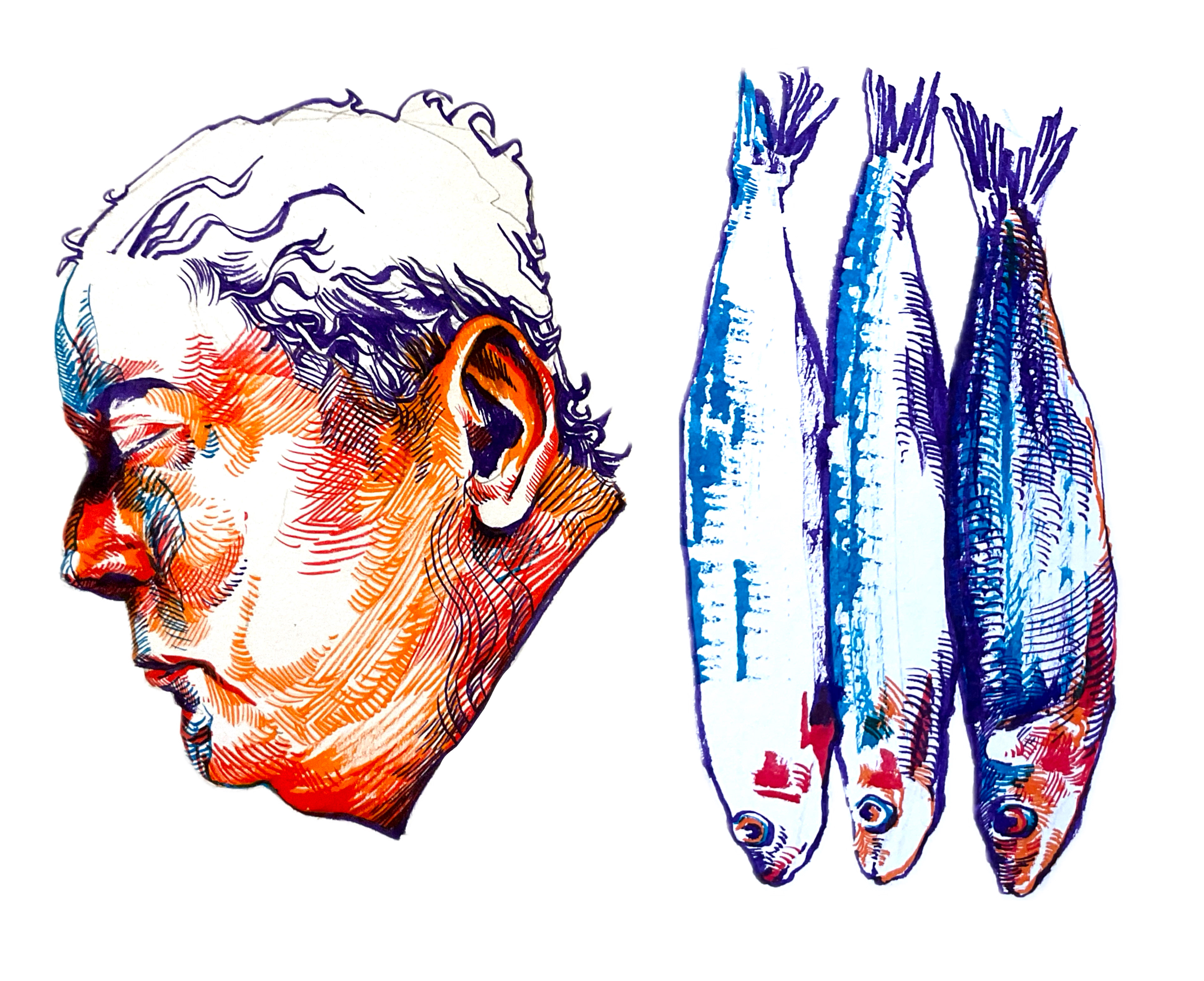 Sardines  Projet personnel,  Encres de couleur et encre de Chine,  2025