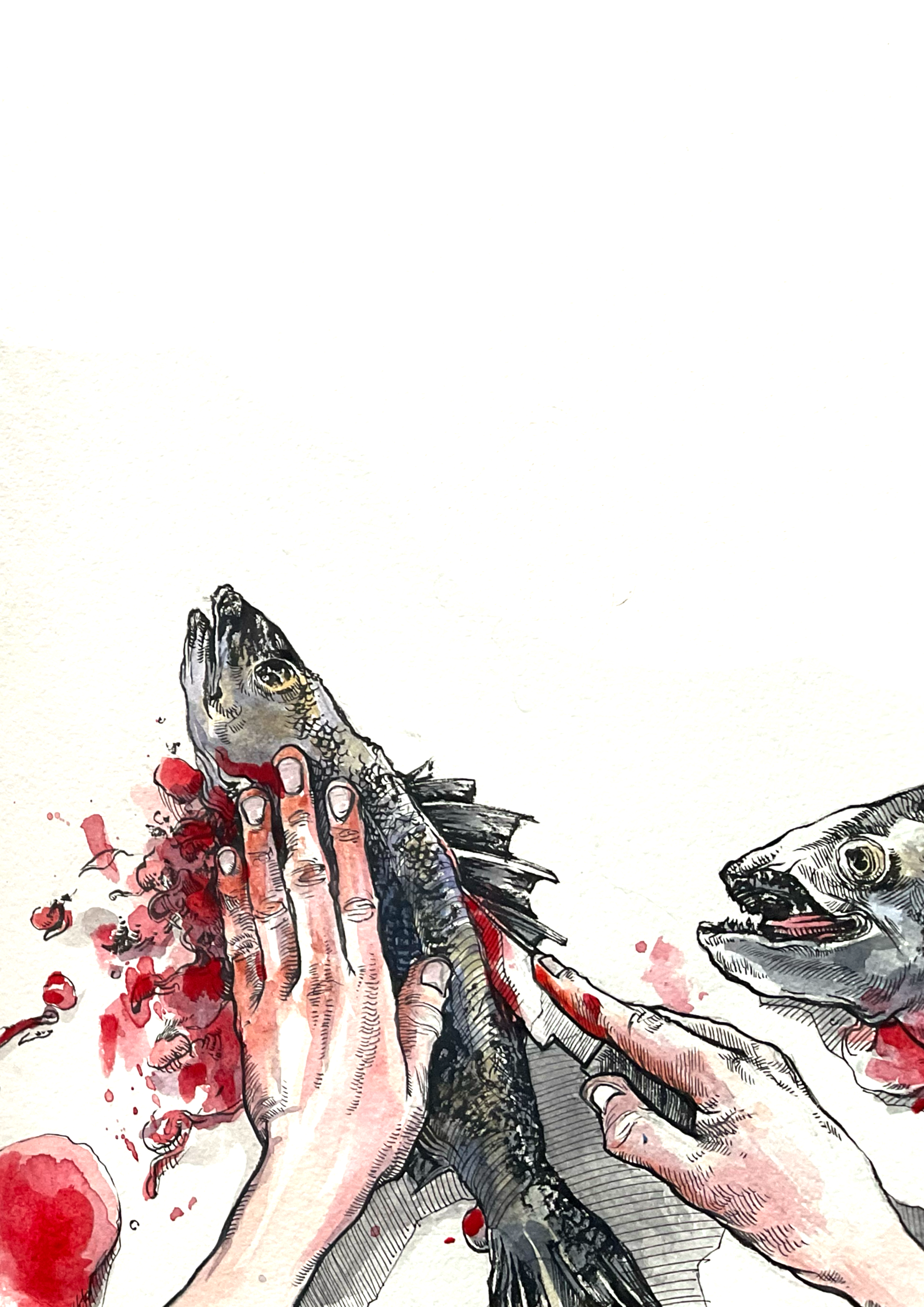 Poissonnerie été 2025  Projet personnel,  Aquarelle et encre de Chine,  2025