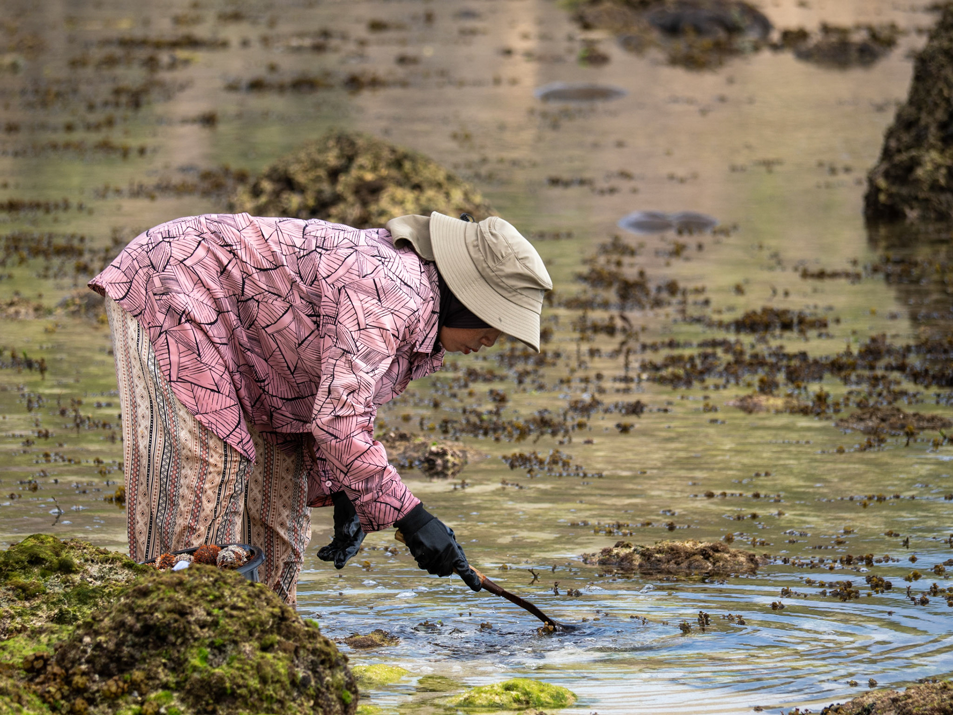 At low tide on Umarimba Beach, Lombok, a local woman searches the shallow reef for sea urchins. The photograph documents a quiet, everyday moment of work shaped by the rhythm of the tide and the coastal landscape