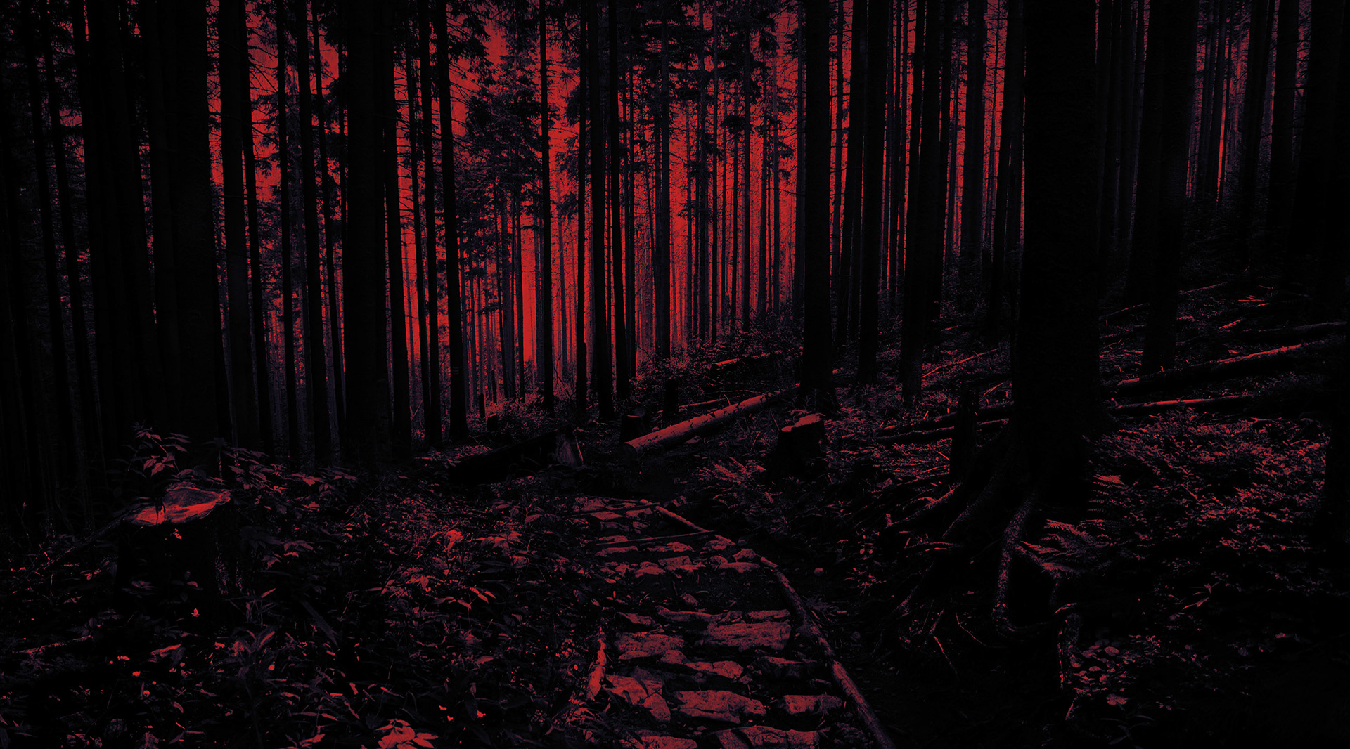 The Forest is Calling My Name