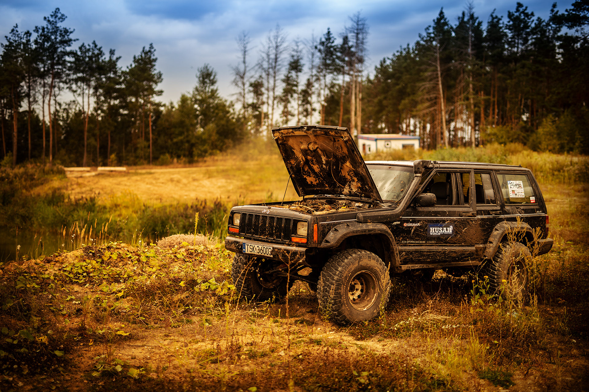 Cobra Light Cup 4x4 6