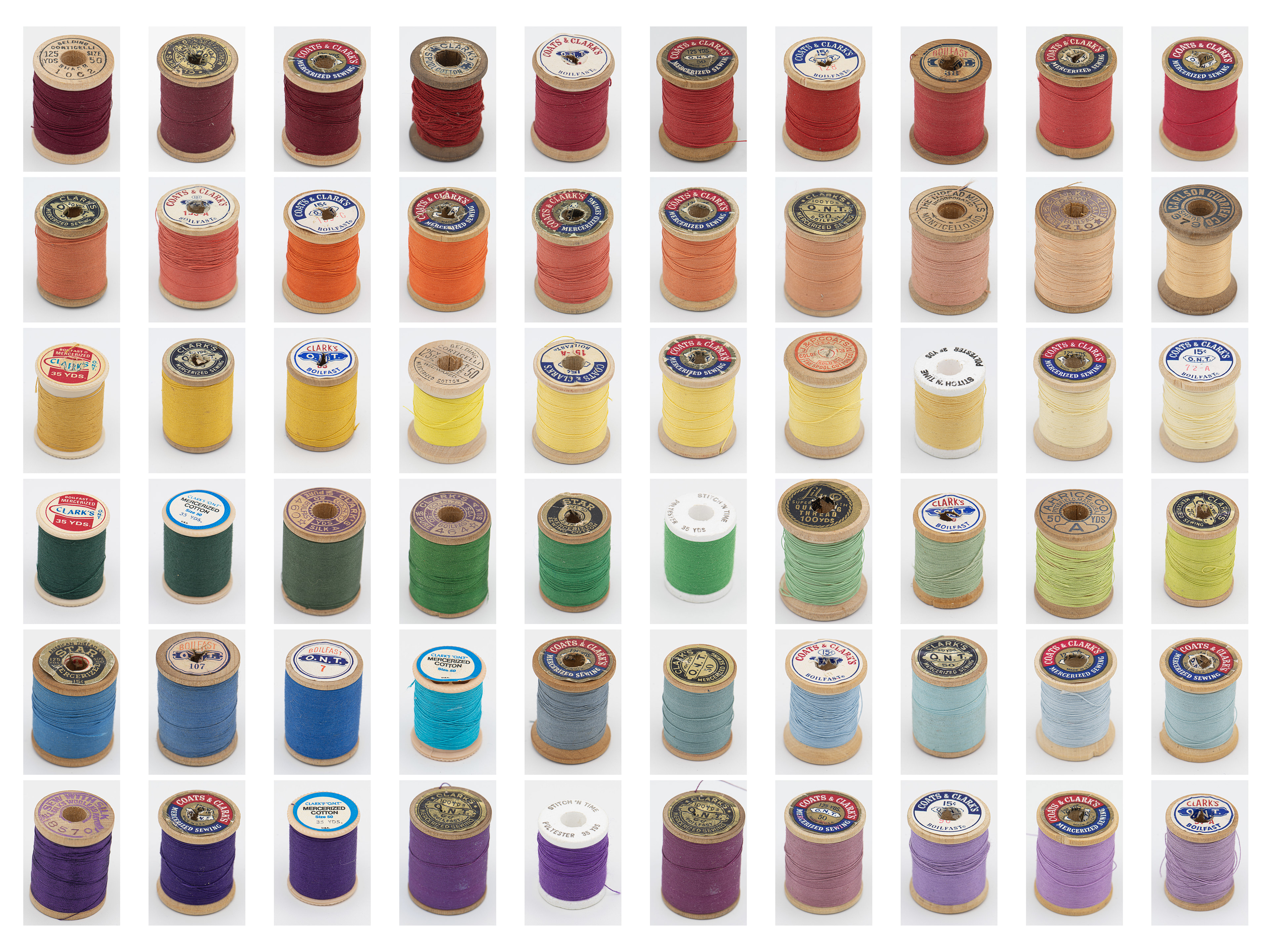 Pride - The Thread that Joins Us
