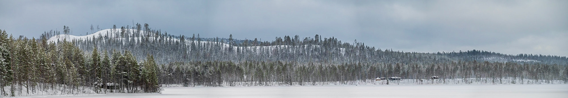 Joskus jopa saman päivän aikana aurinko kultaa puiden latvoja ja kohta tuuli pöllyttää tuiskuavaa lunta.