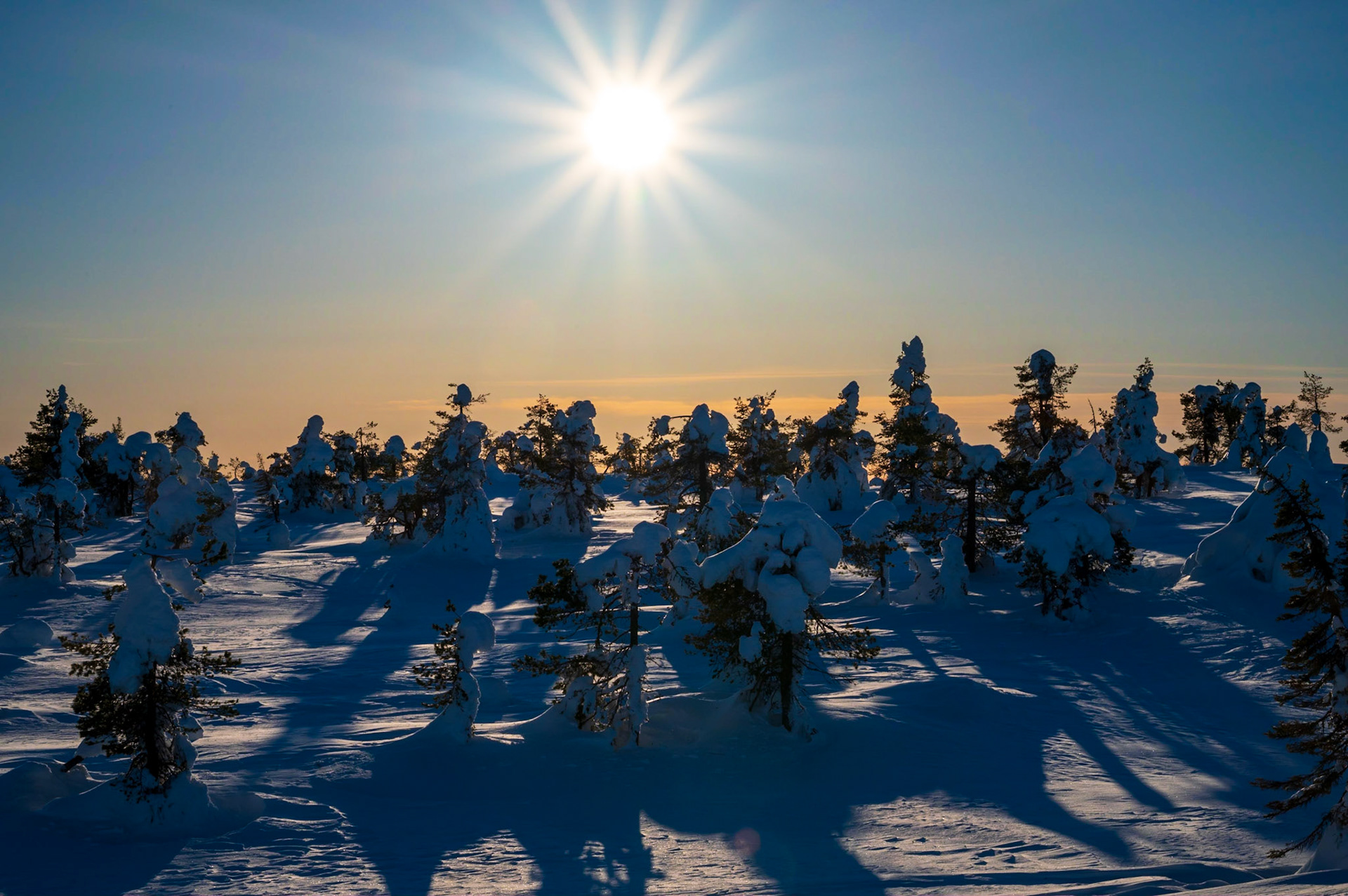 Kevät auringon laskiessa Riisitunturilla viimeiset tykkylumet heittävät jännittäviä varjoja.