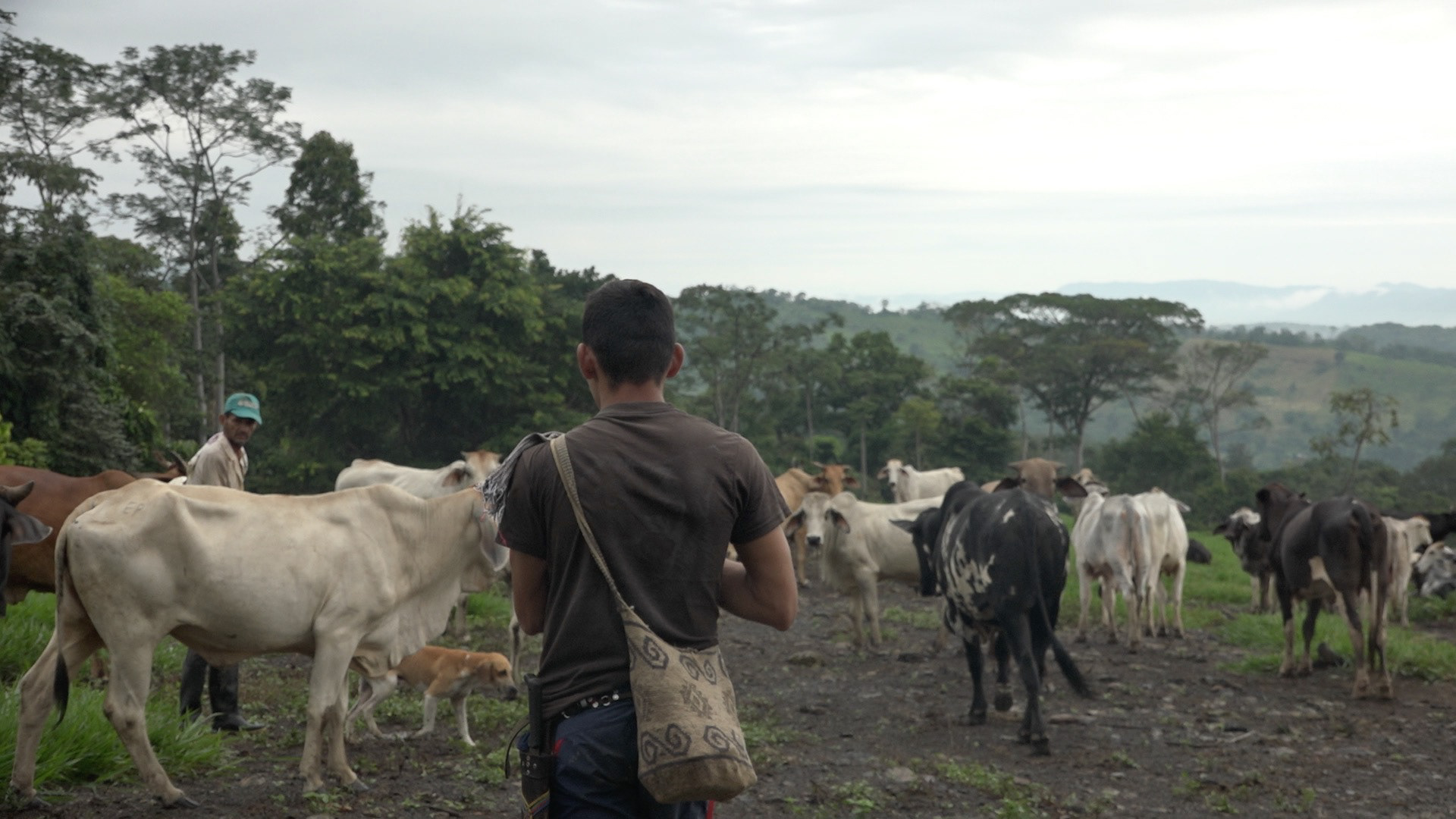 PAZ © Sophie Dettmar