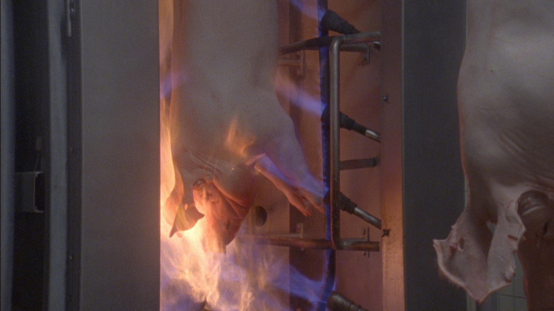 (m)eat reality © Sophie Dettmar