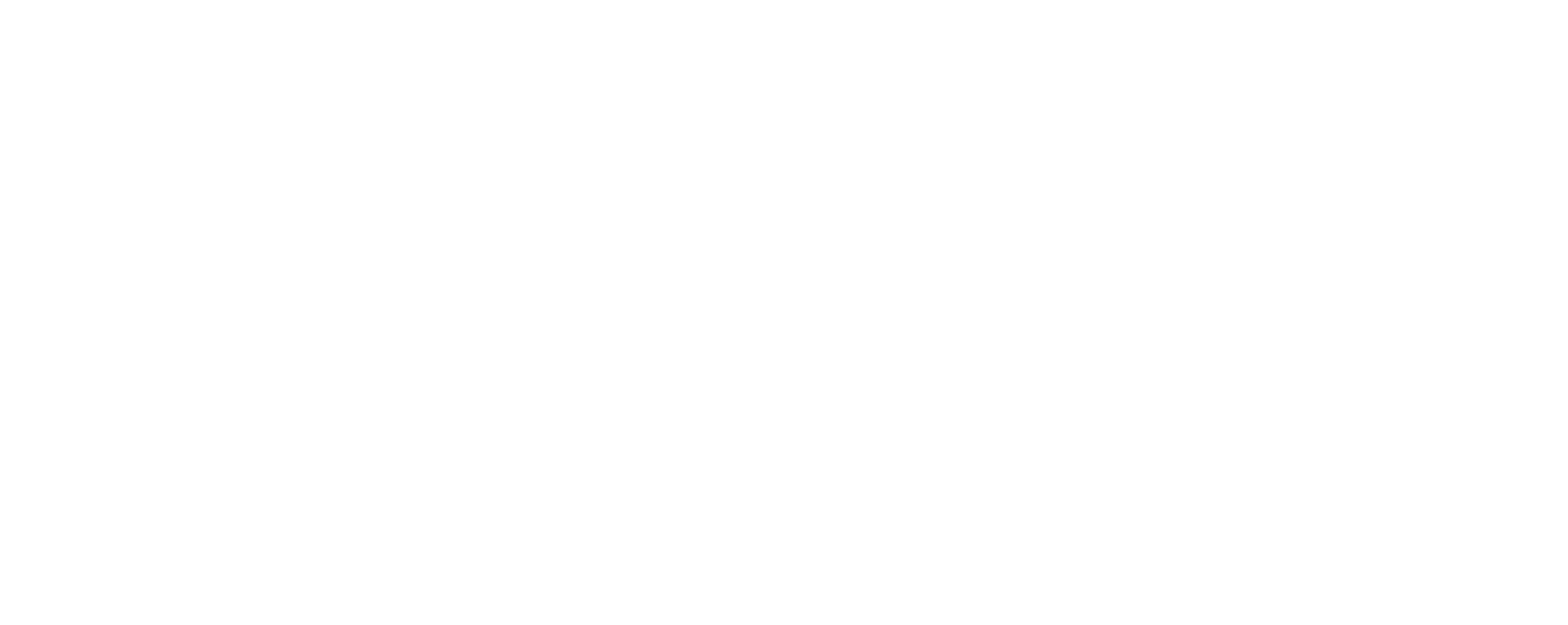 K-NIN