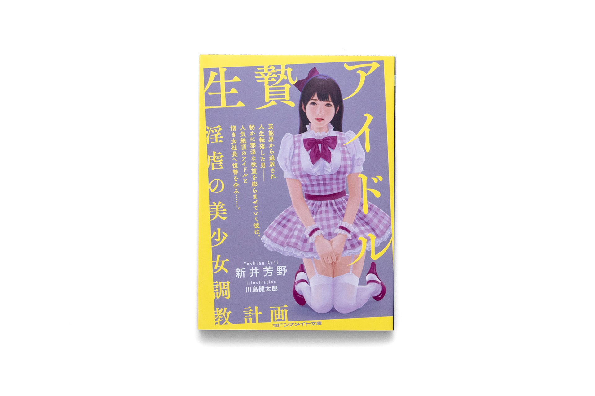 新井芳野/川島健太郎/2022.04
