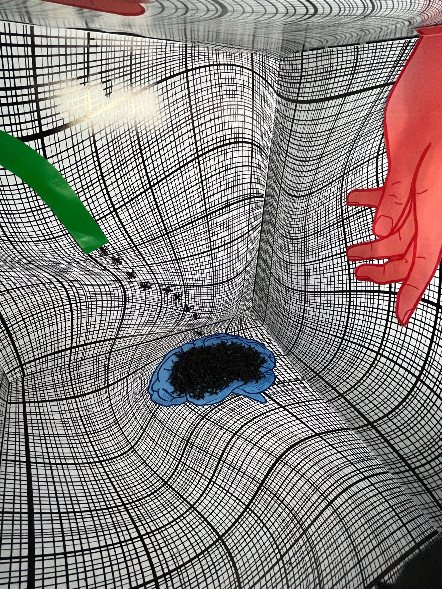 Peter Kogler Installation