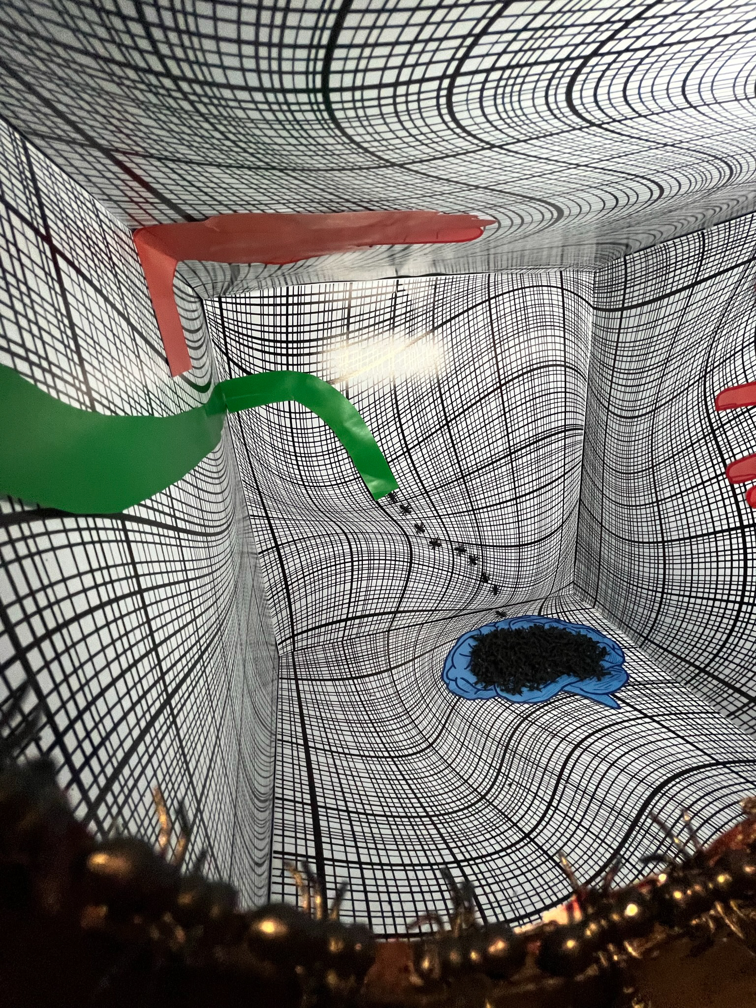 Peter Kogler Installation