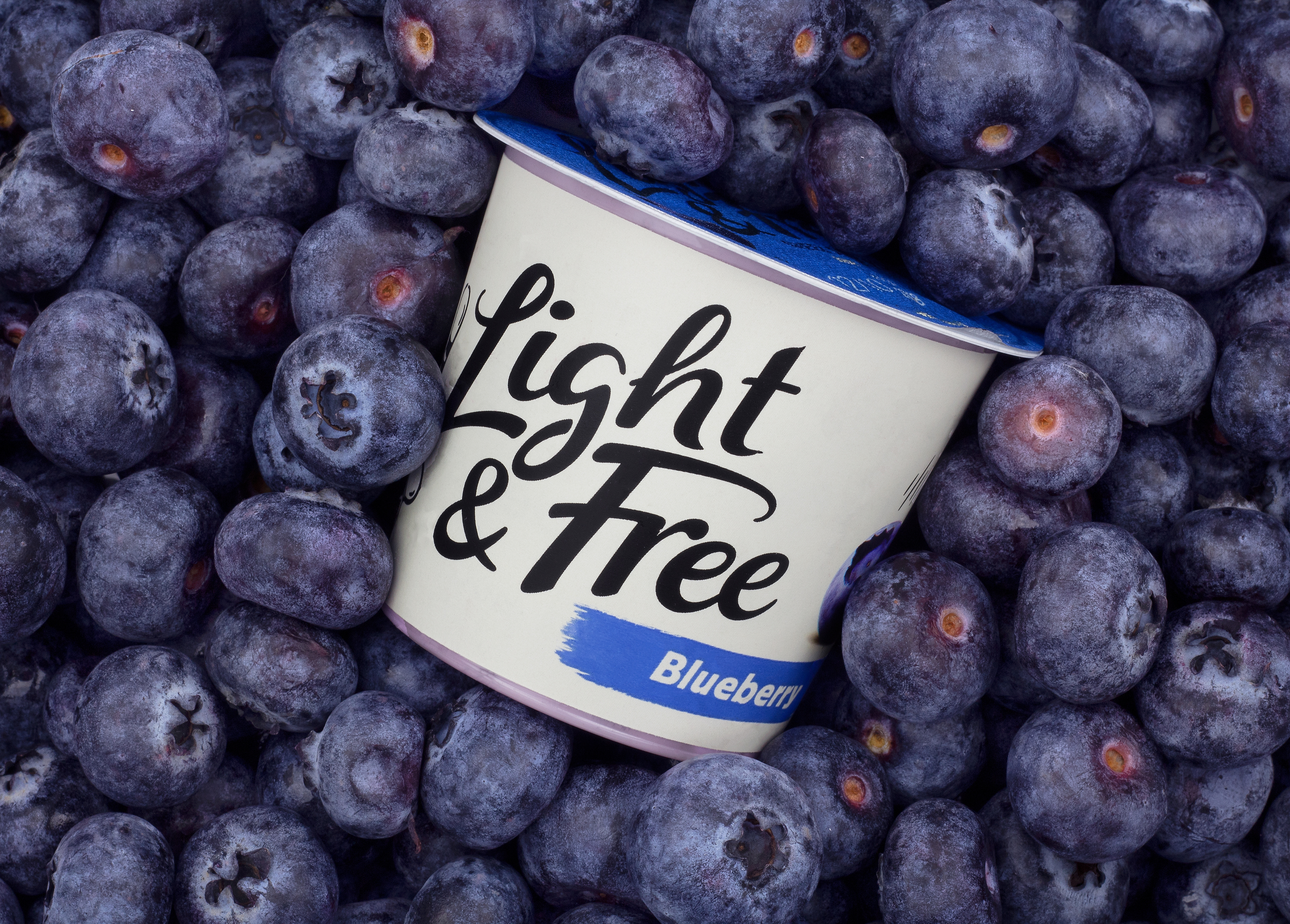 DANONE LIGHT AND FREE BLUEBERRY