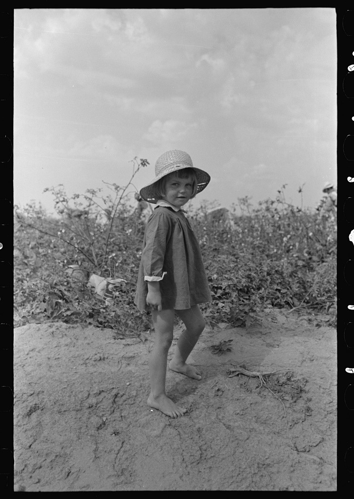“Child of farmer in cotton field, Lake Dick Project, Arkansas” 📷 Lee, Russell, c. September 1938  Original image from @librarycongress