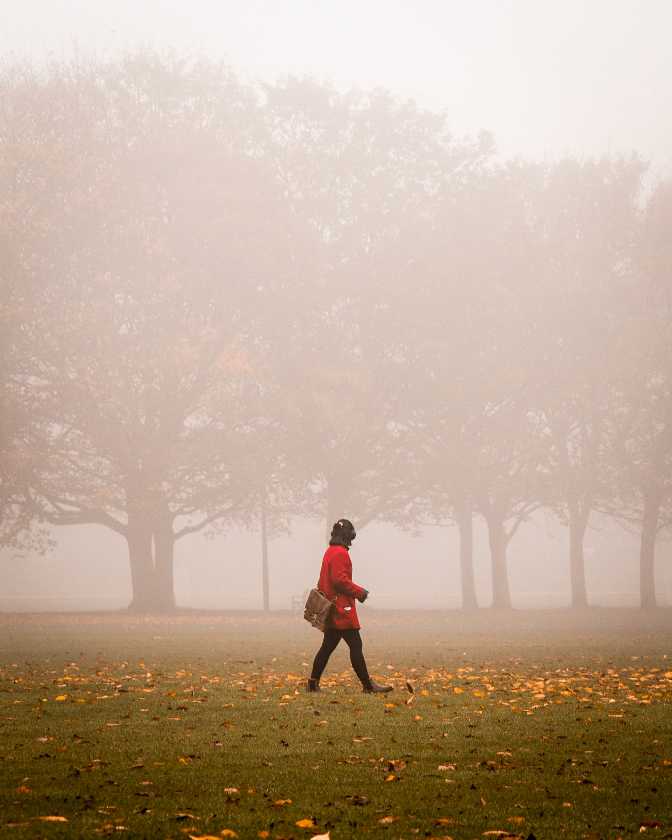 Meadows, Edinburgh