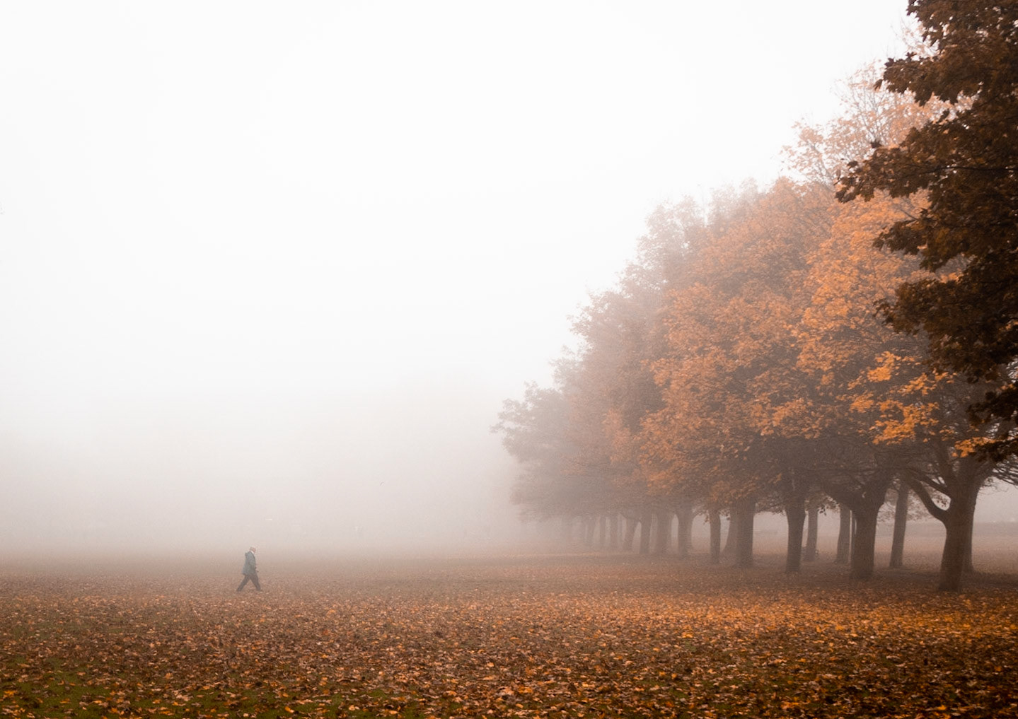 Meadows, Edinburgh