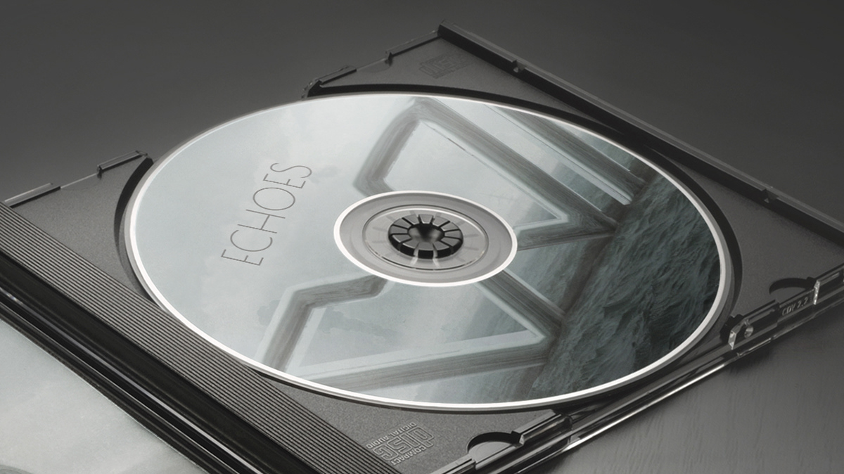 A close up of the CD itself