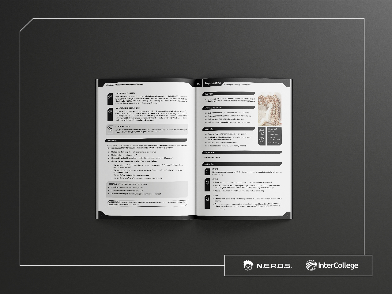 Simple yet engaging layout helps digesting the text heavy content