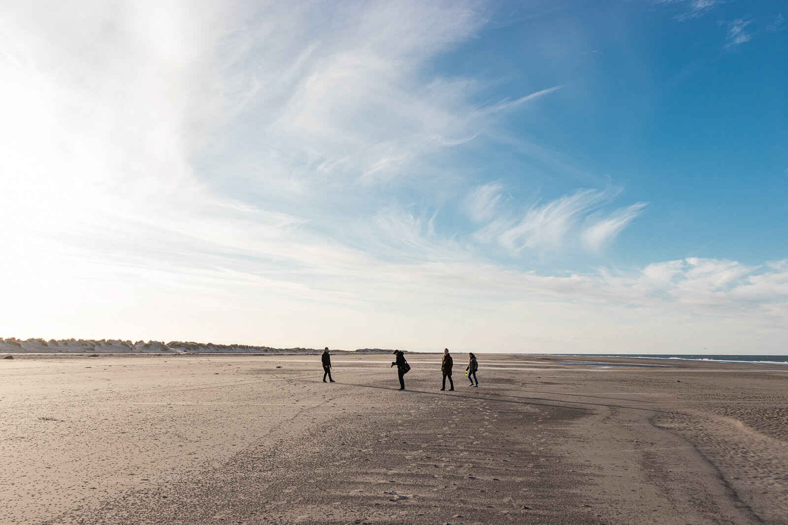Skagen 2020