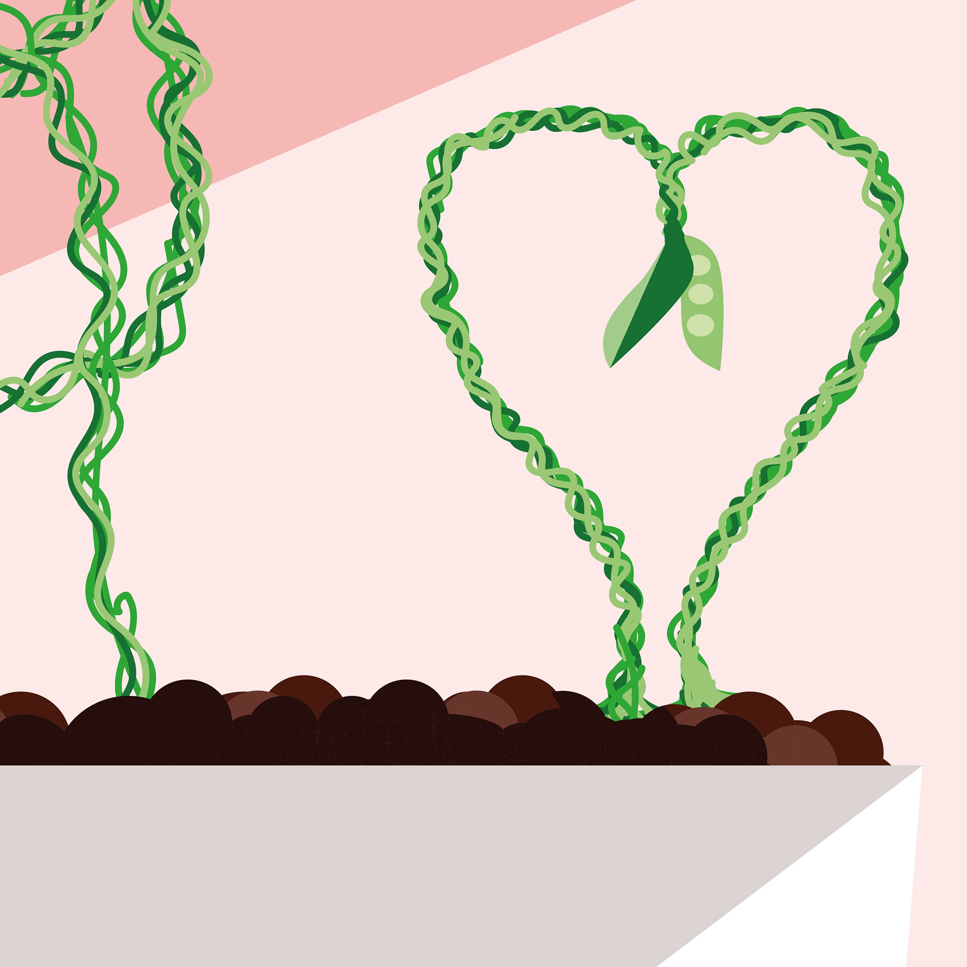 Grow your own vegetables pot