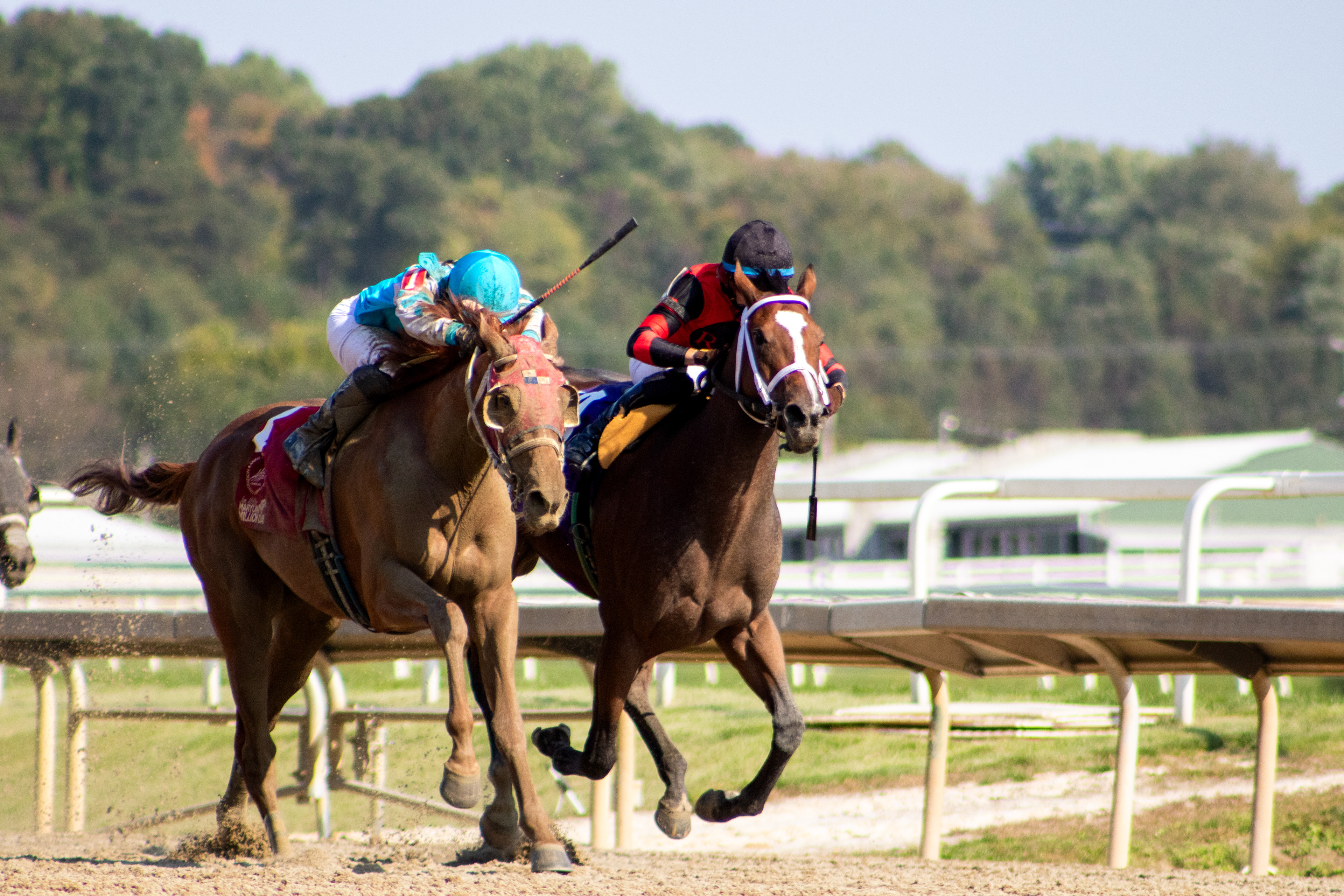 Taken for Maryland Million Ltd