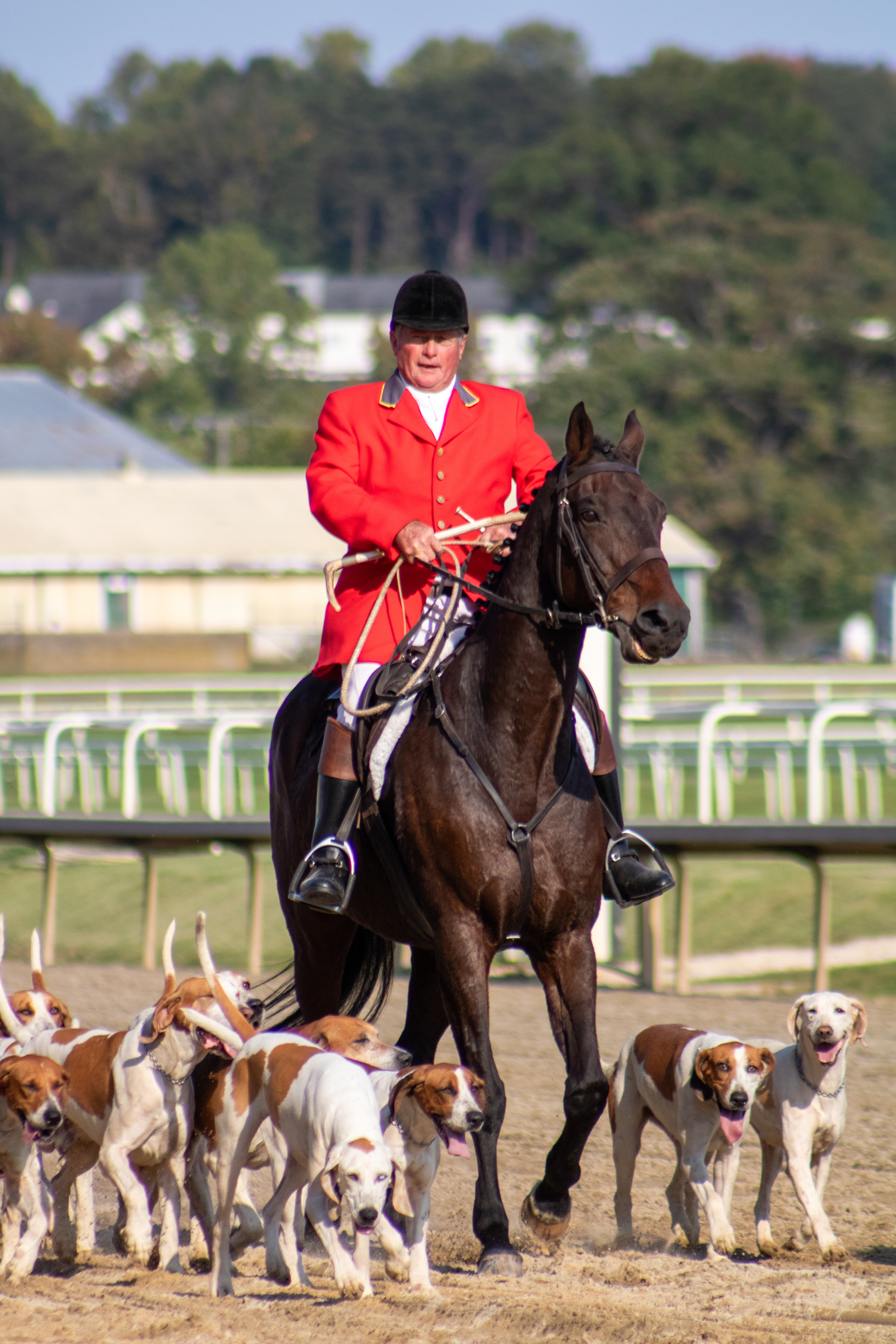 Taken for Maryland Million Ltd
