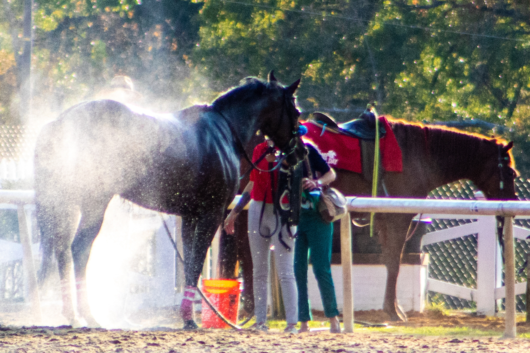 Taken for Maryland Million Ltd