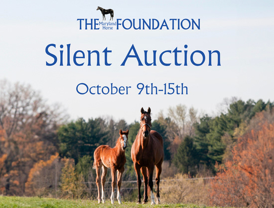 Created for the annual Maryland Horse Foundation silent auction