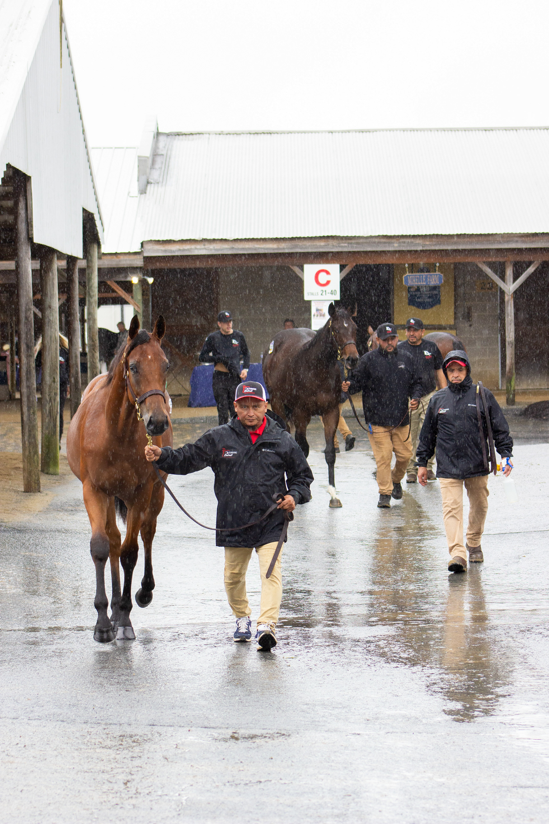 Taken for Mid-Atlantic Thoroughbred