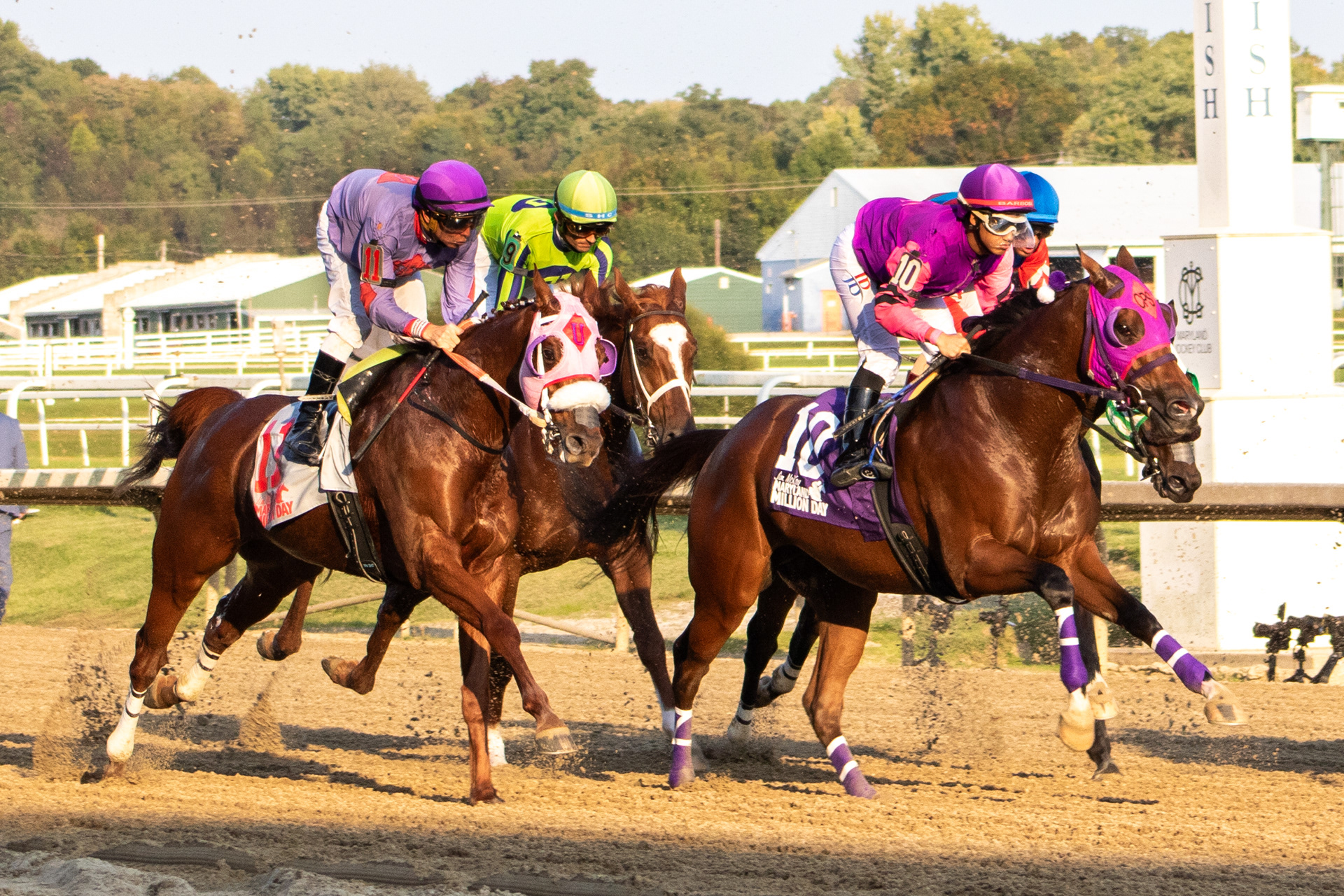 Taken for Maryland Million Ltd