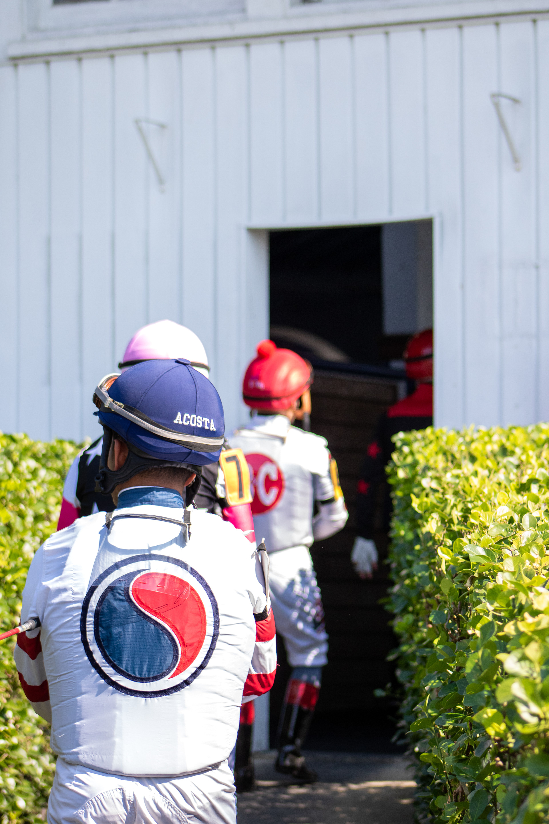 Taken for Maryland Million Ltd