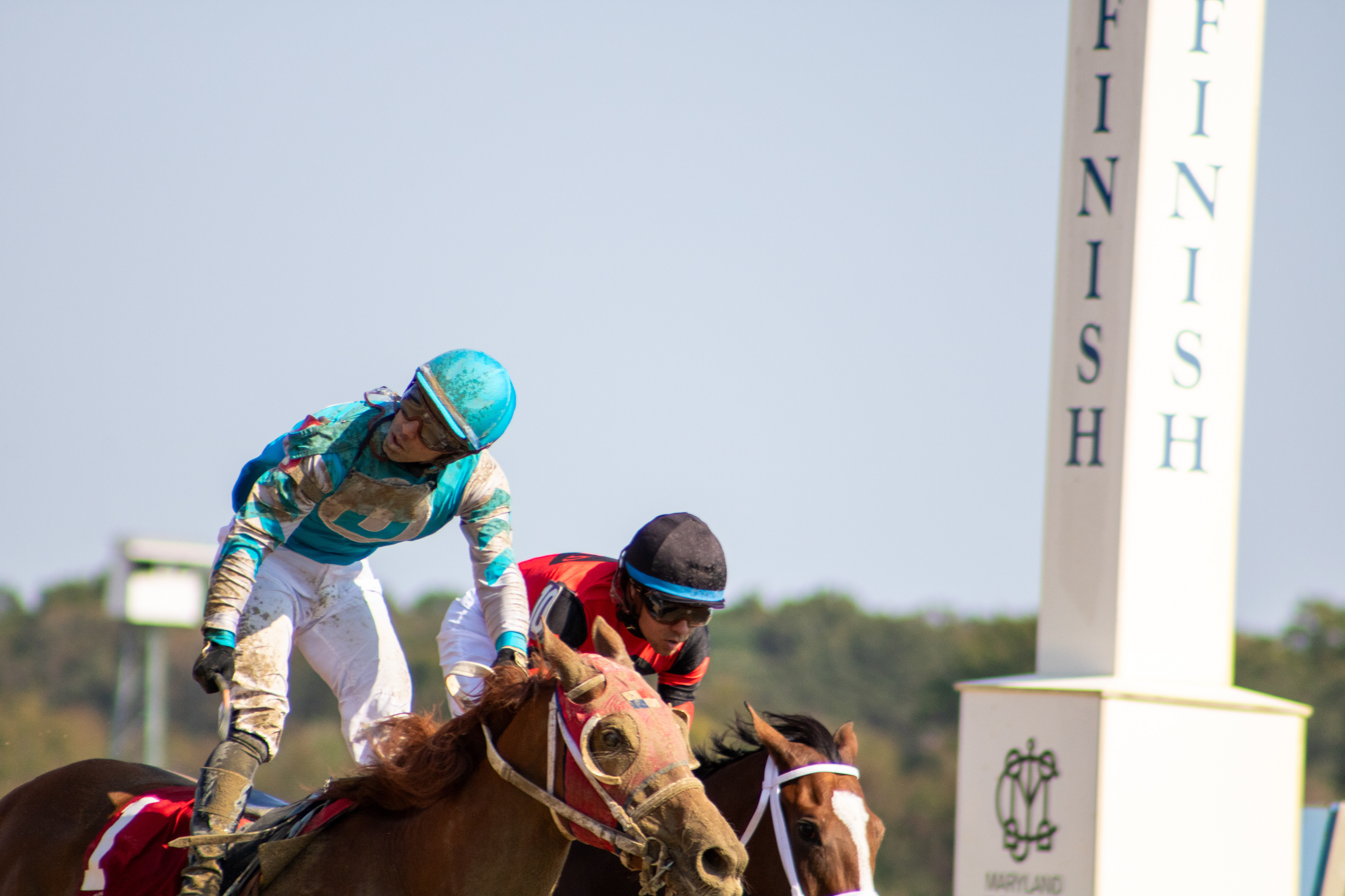 Taken for Maryland Million Ltd