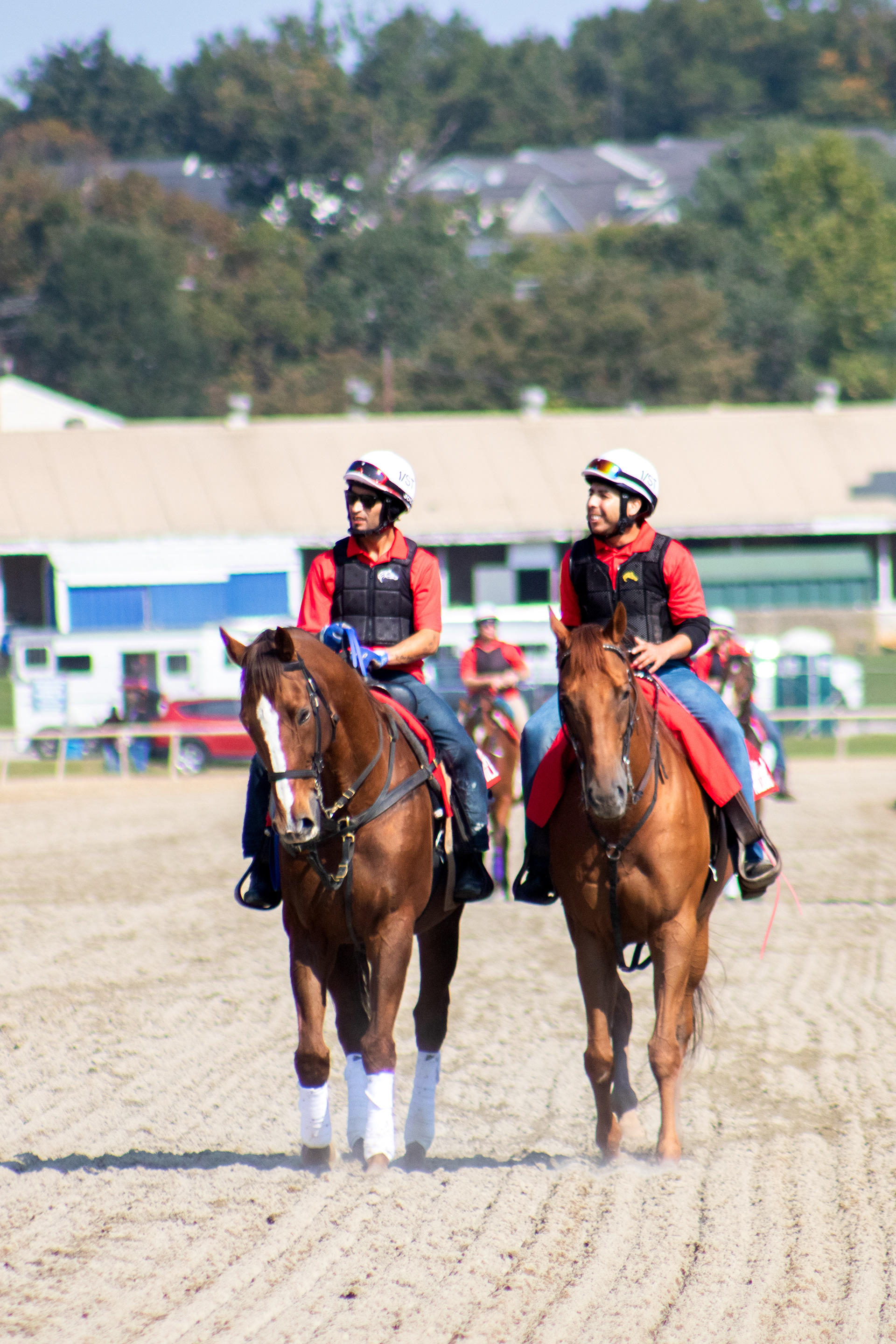 Taken for Maryland Million Ltd