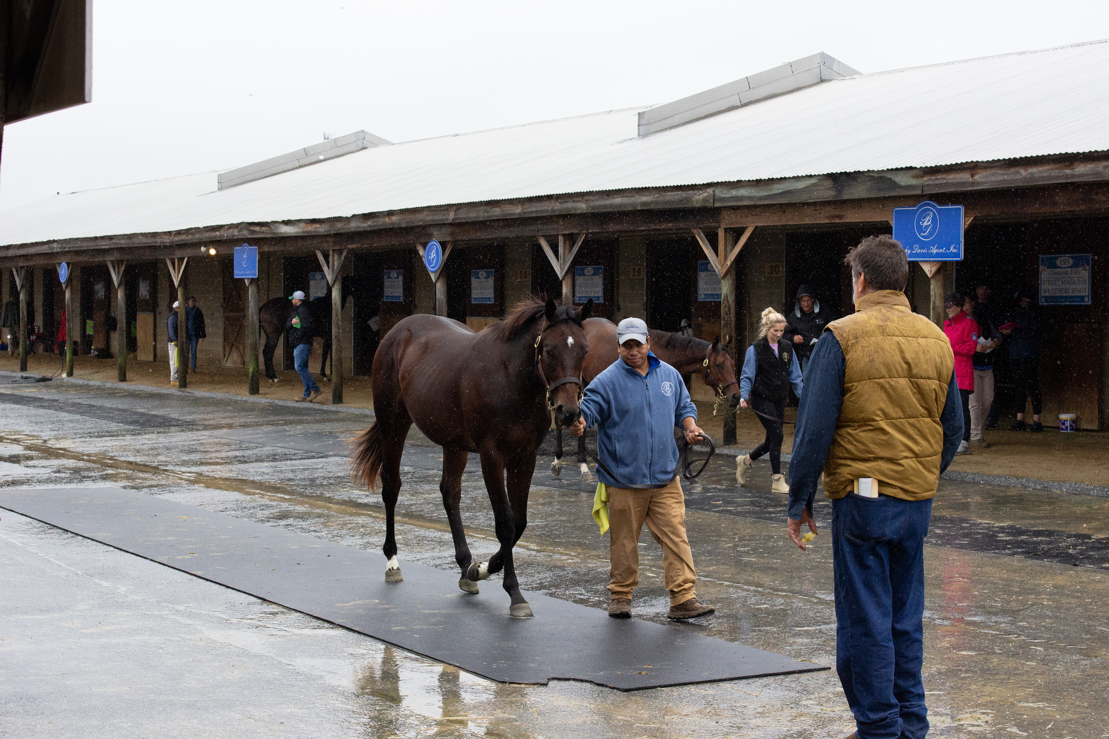 Taken for Mid-Atlantic Thoroughbred
