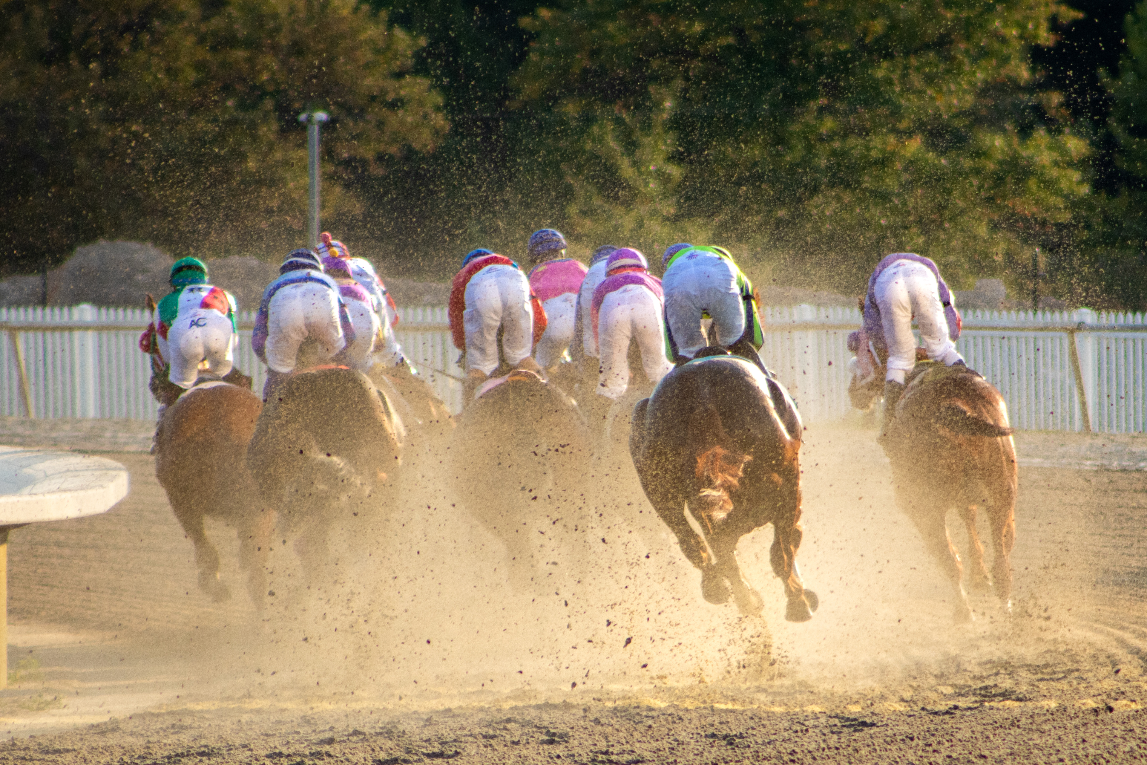Taken for Maryland Million Ltd