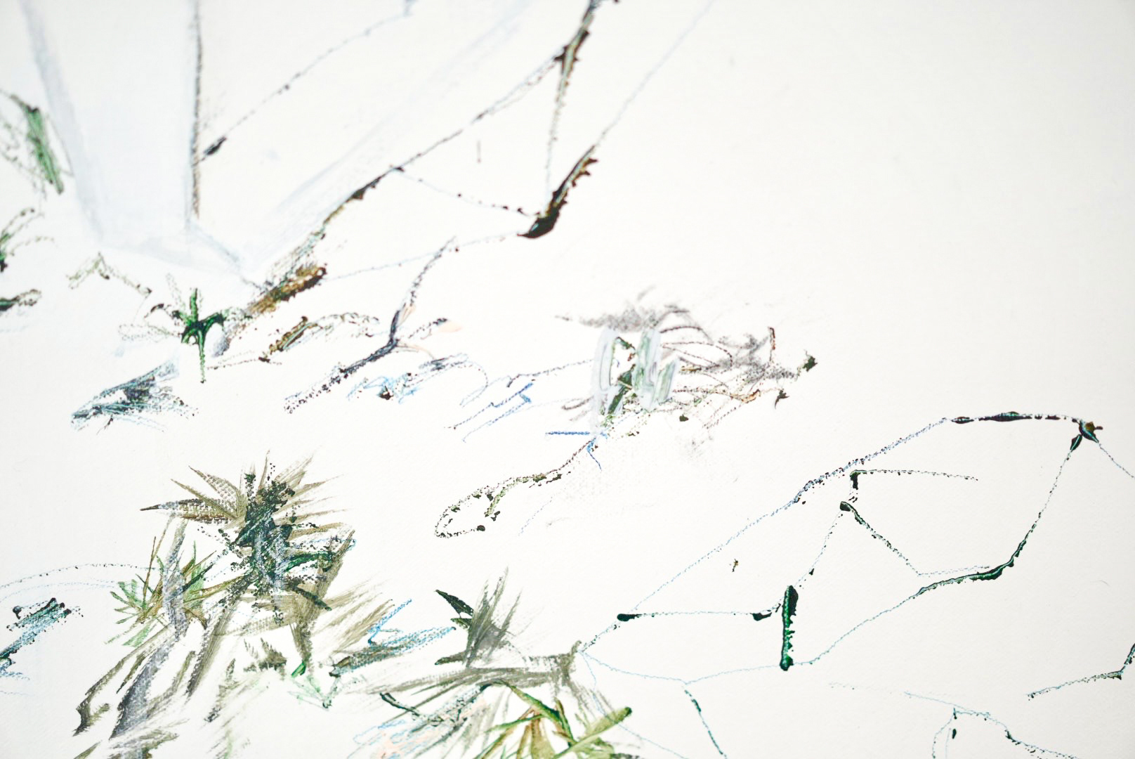 未生の夢 530x455x30 mm Acrylic paint, pencil and charcoal on canvas 2024