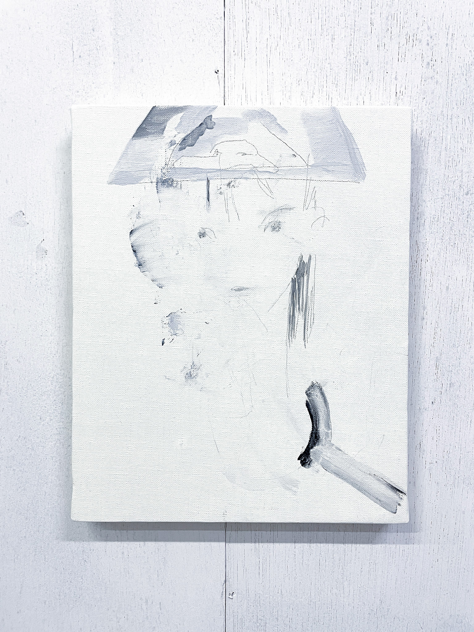drawing on canvas 13 / Acrylic paint, pencil, pen and charcoal on canvas. 273×190×20 mm / 2022