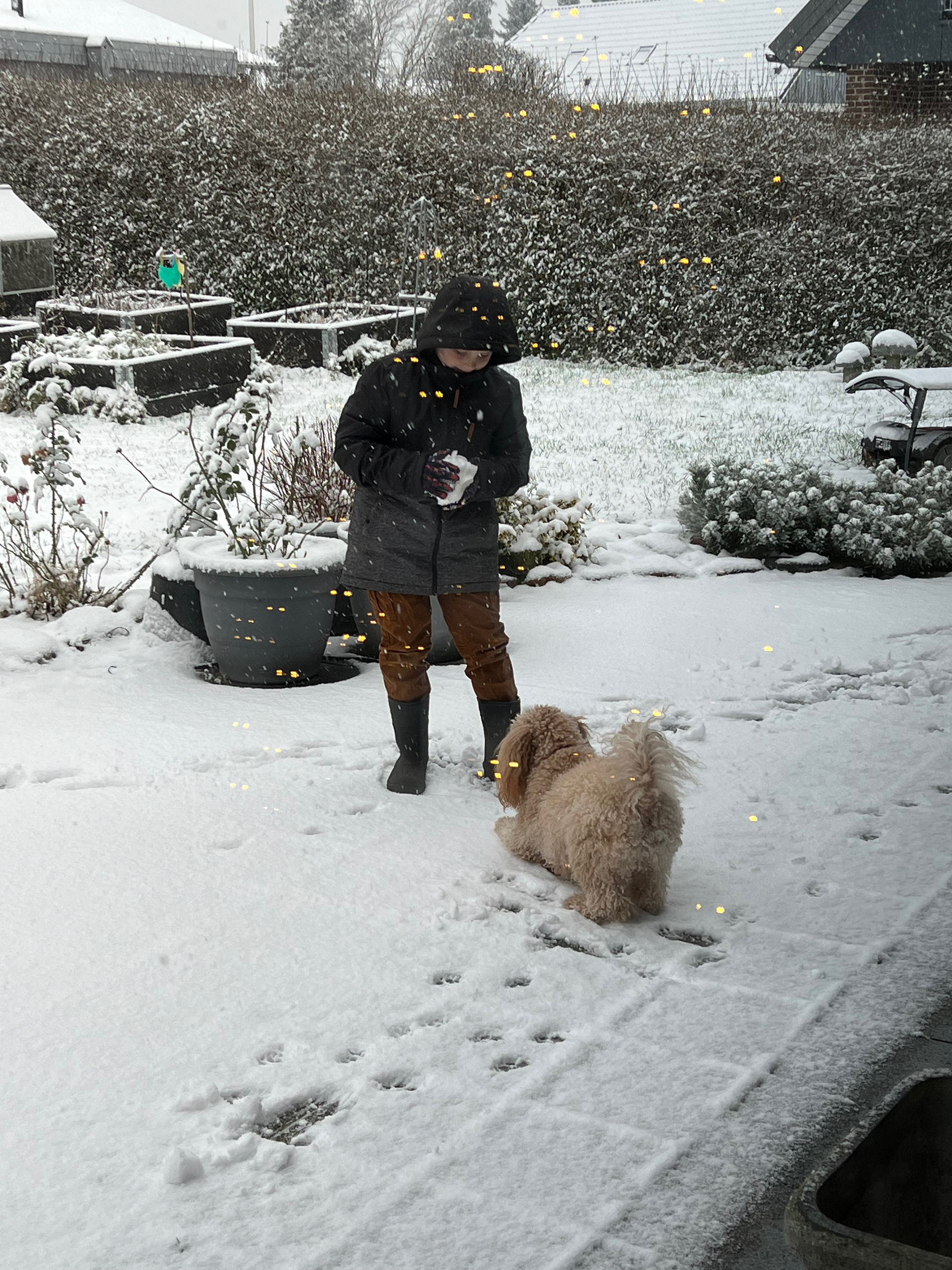 En skæg legekammerat